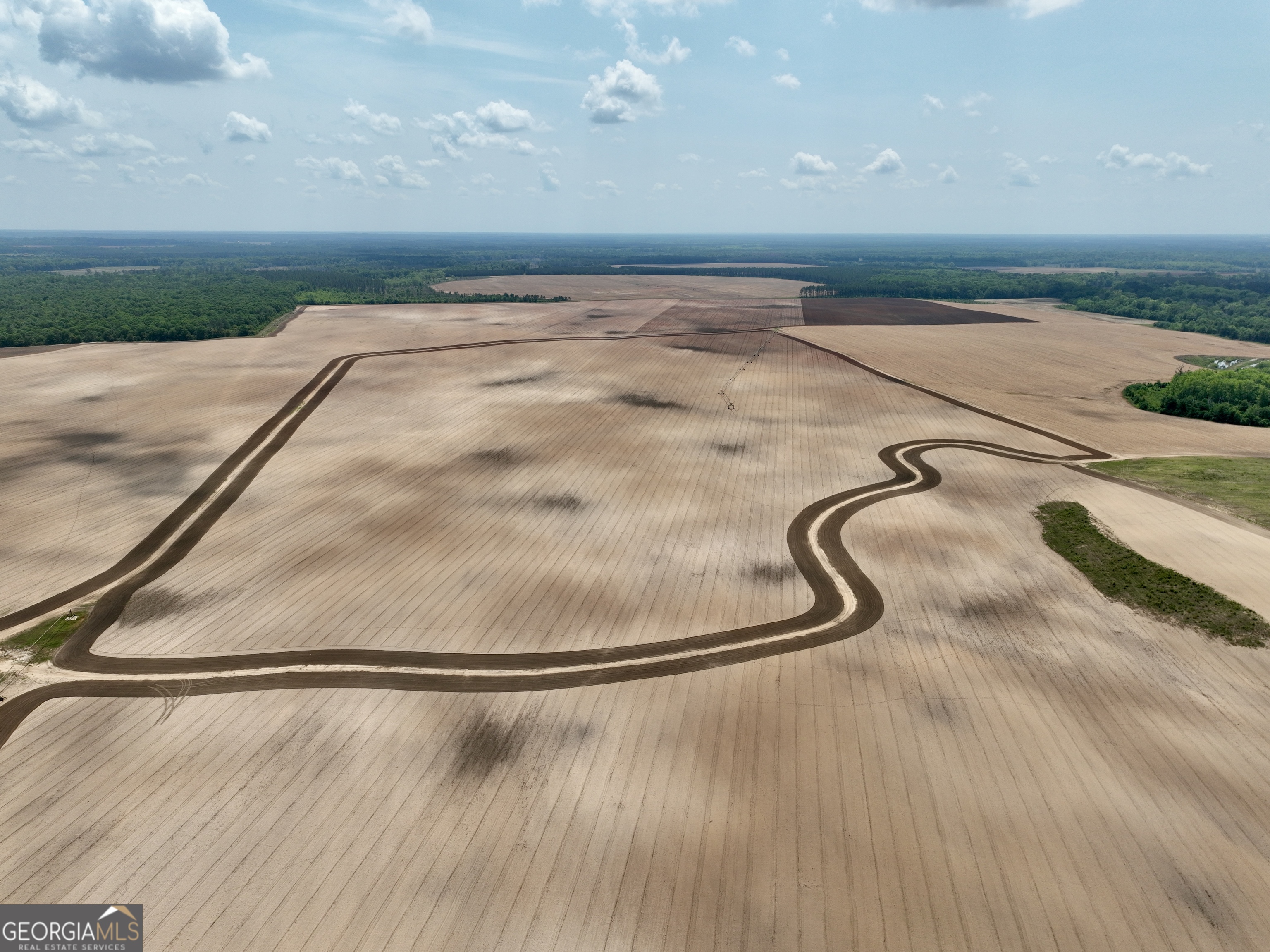 89 Griffin Road Hawkinsville, GA 31036 - Photo 33 of 48