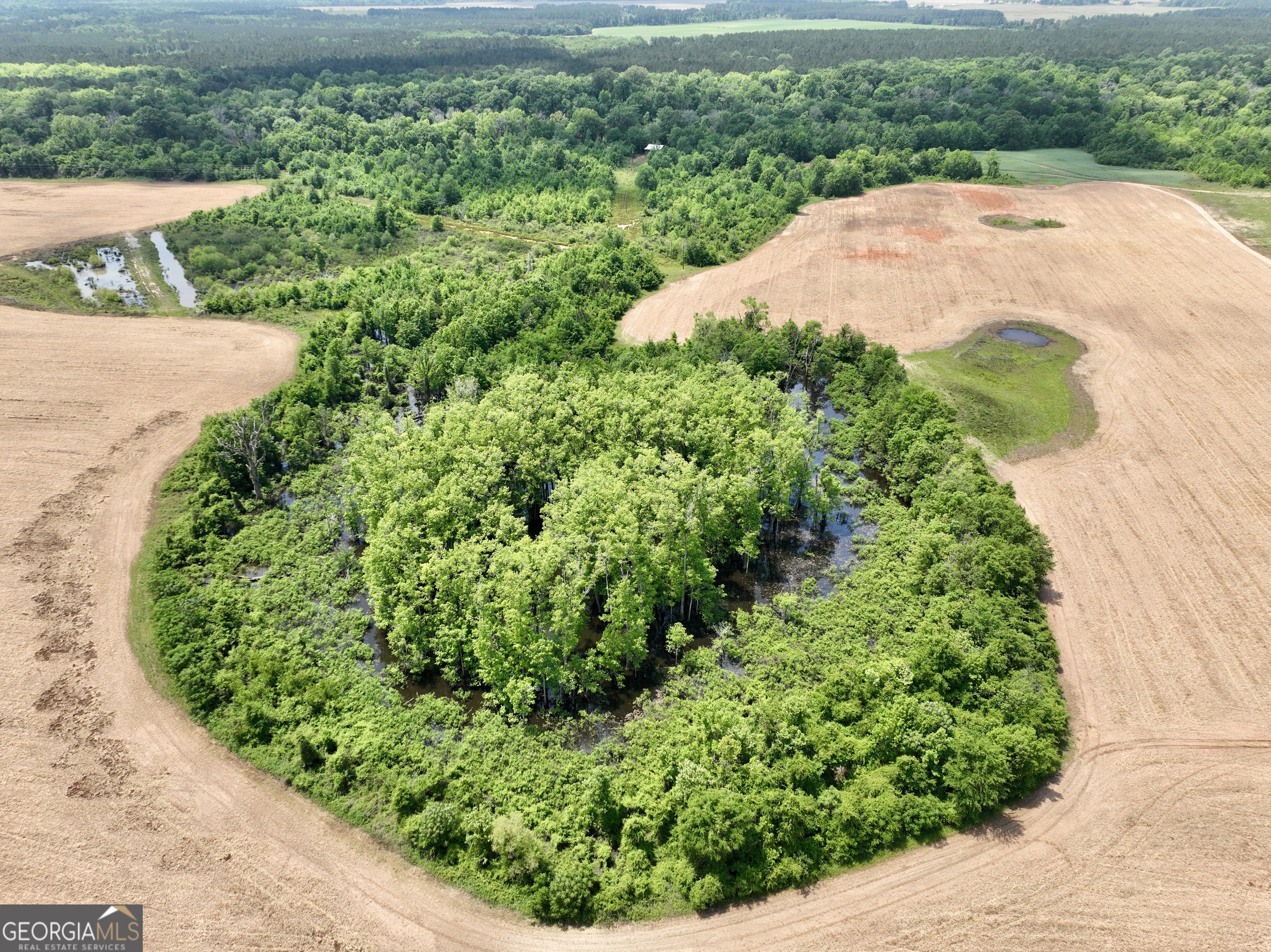89 Griffin Road Hawkinsville, GA 31036 - Photo 37 of 48 a view of a garden