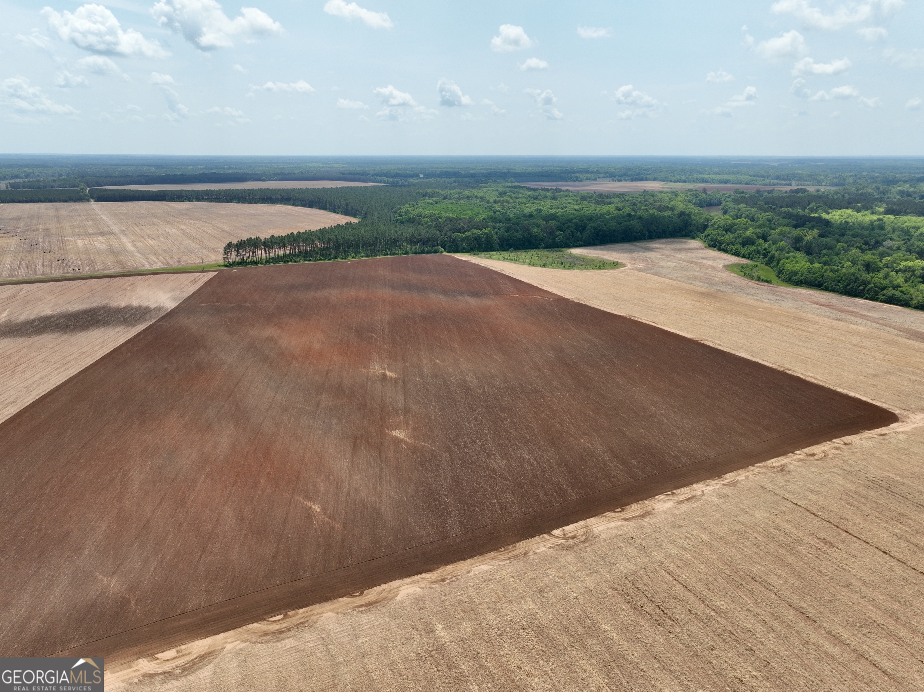 89 Griffin Road Hawkinsville, GA 31036 - Photo 39 of 48 a view of a yard