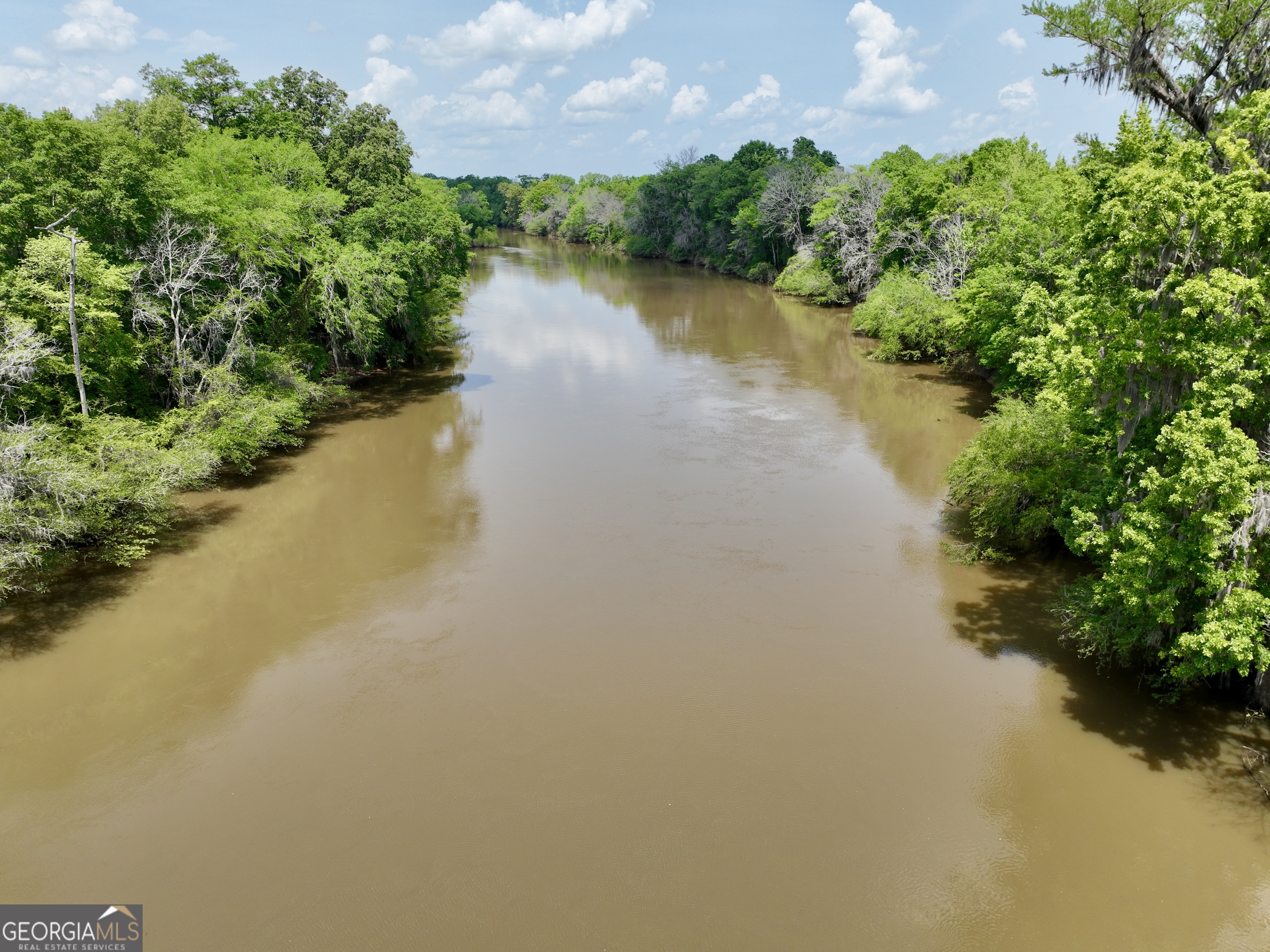89 Griffin Road Hawkinsville, GA 31036 - Photo 41 of 48 a view of a lake with a house in the background