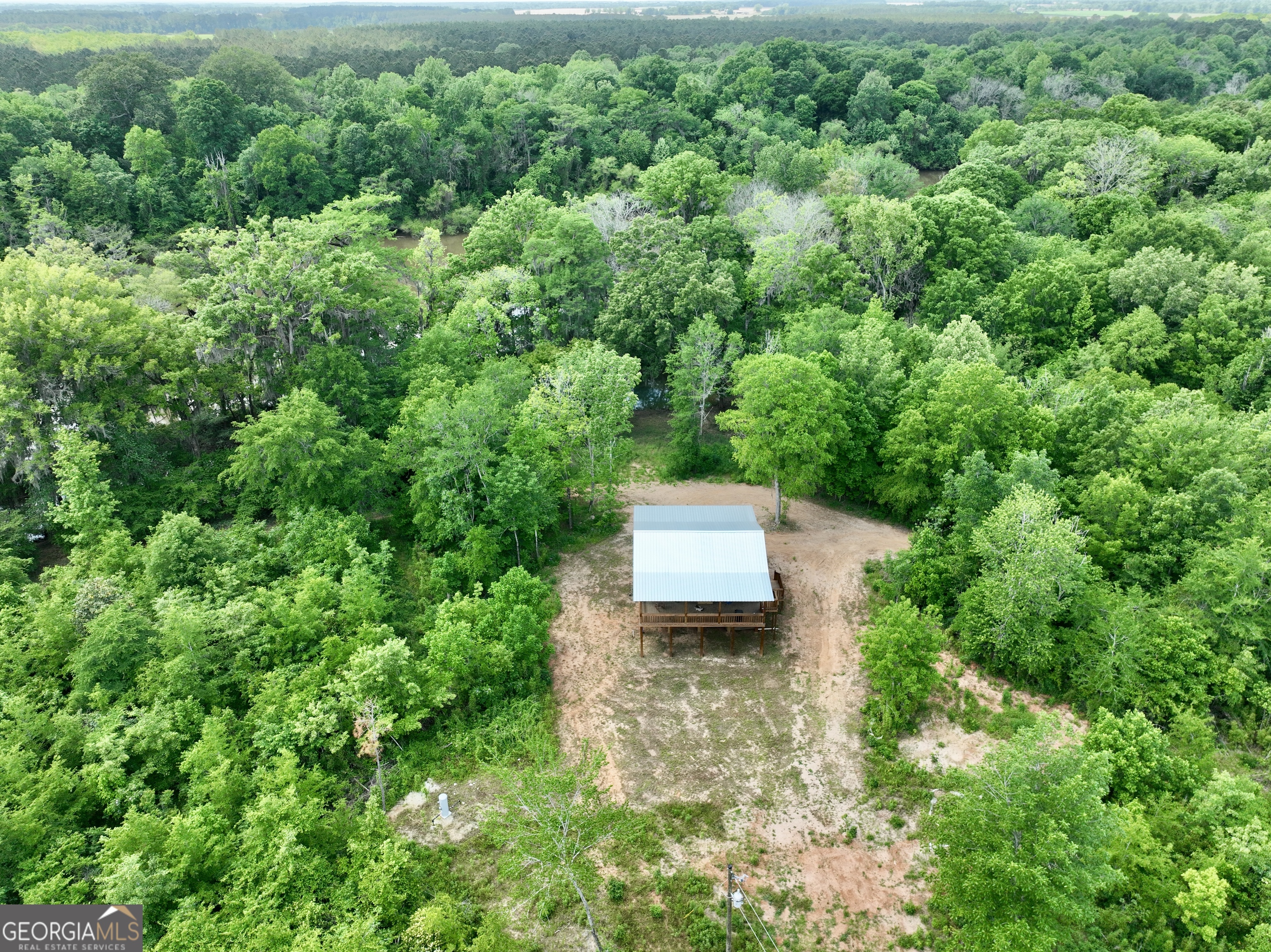 89 Griffin Road Hawkinsville, GA 31036 - Photo 42 of 48 a view of a back yard