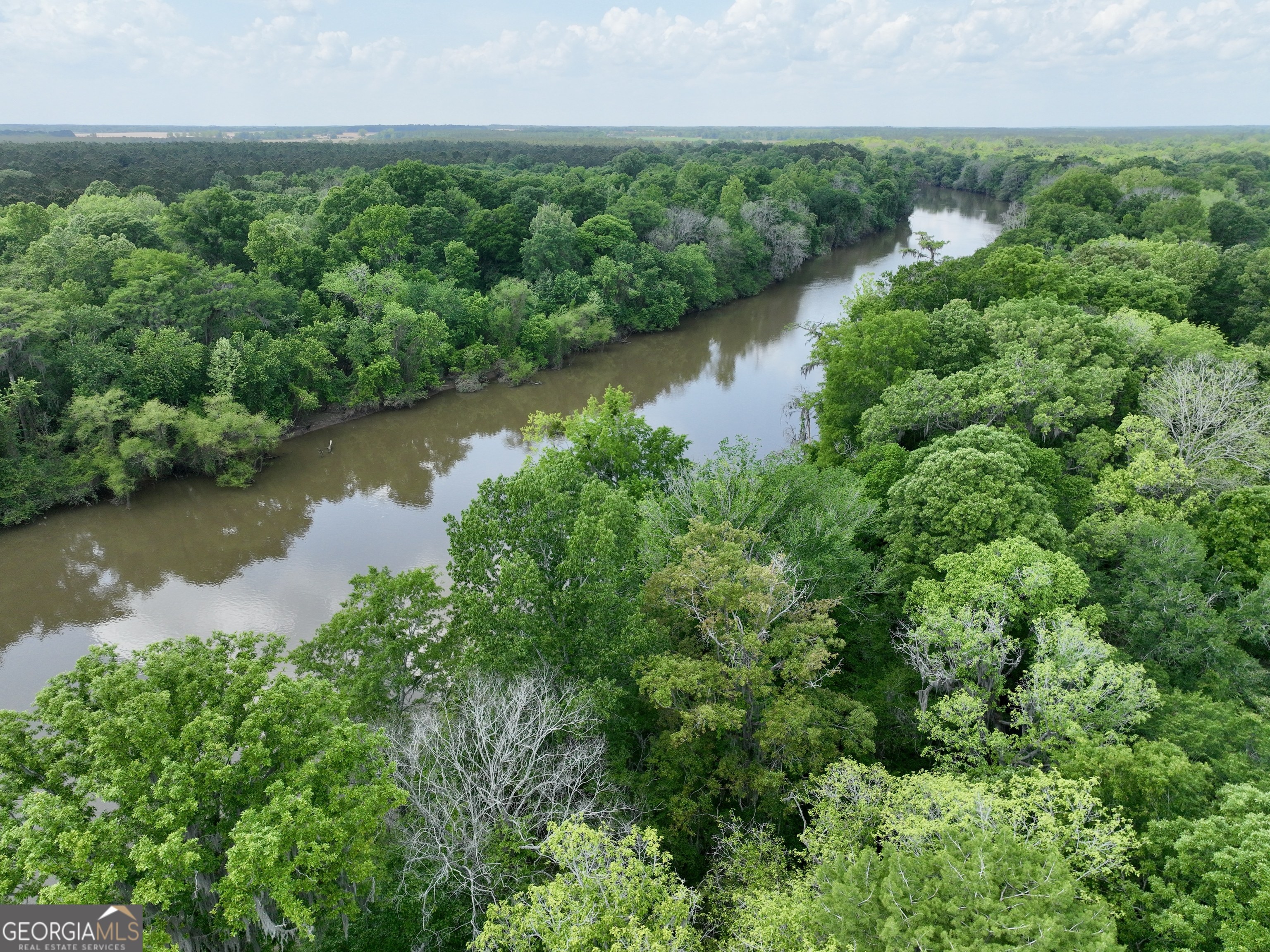 89 Griffin Road Hawkinsville, GA 31036 - Photo 43 of 48 an aerial view of a residential houses with outdoor space and trees all around