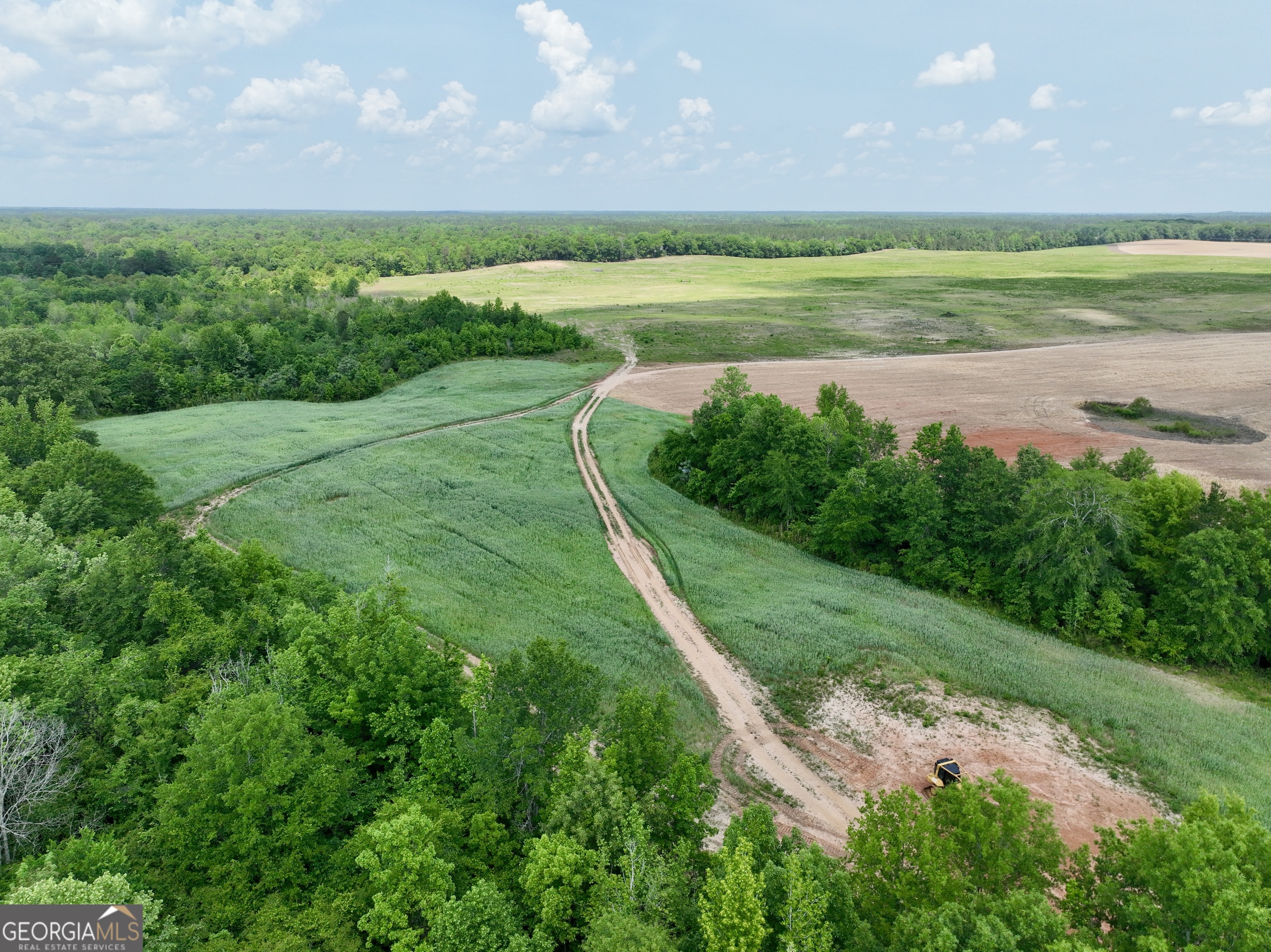 89 Griffin Road Hawkinsville, GA 31036 - Photo 44 of 48 a view of a lake with a big yard