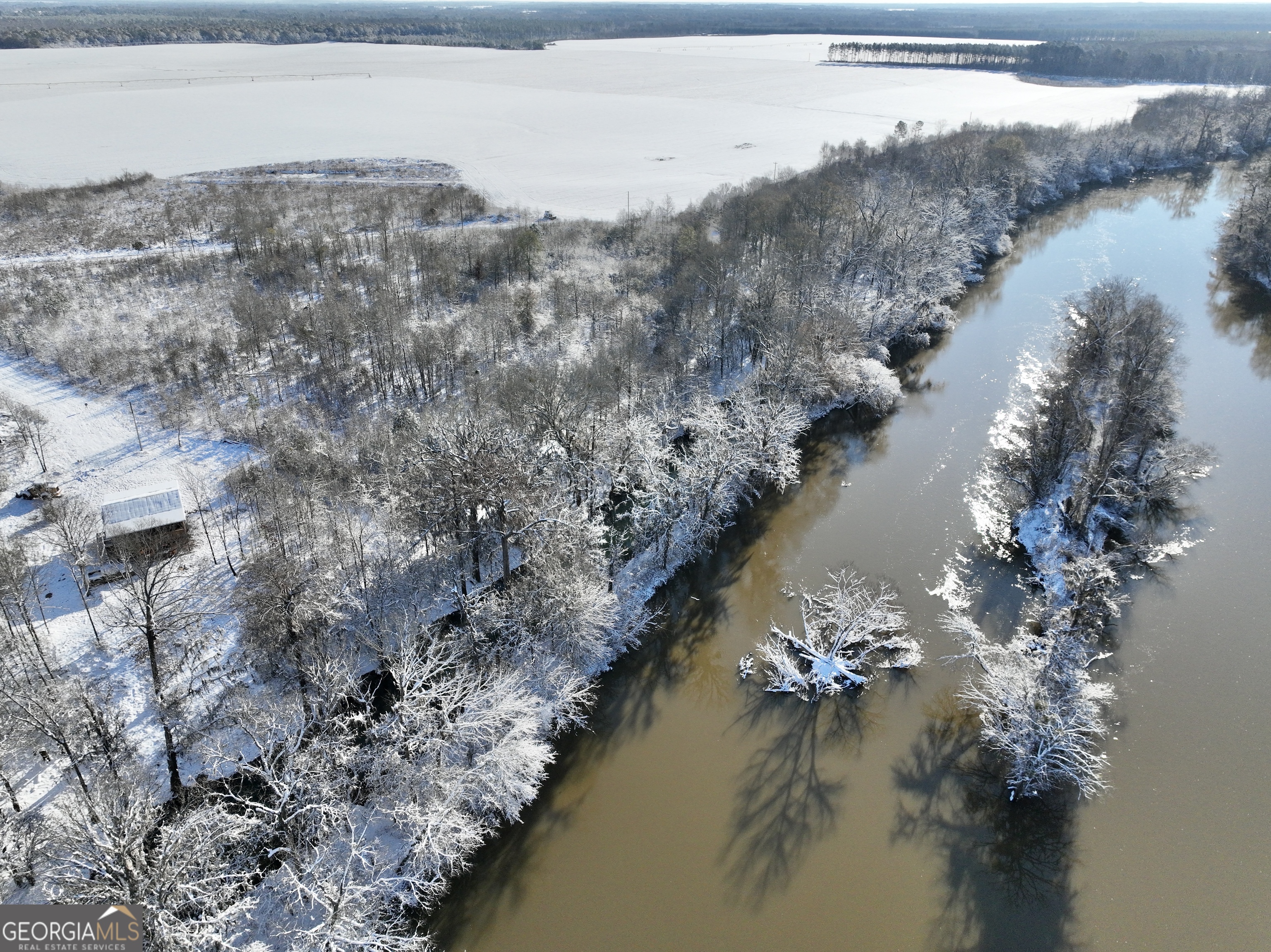 89 Griffin Road Hawkinsville, GA 31036 - Photo 48 of 48 a view of lake and mountain