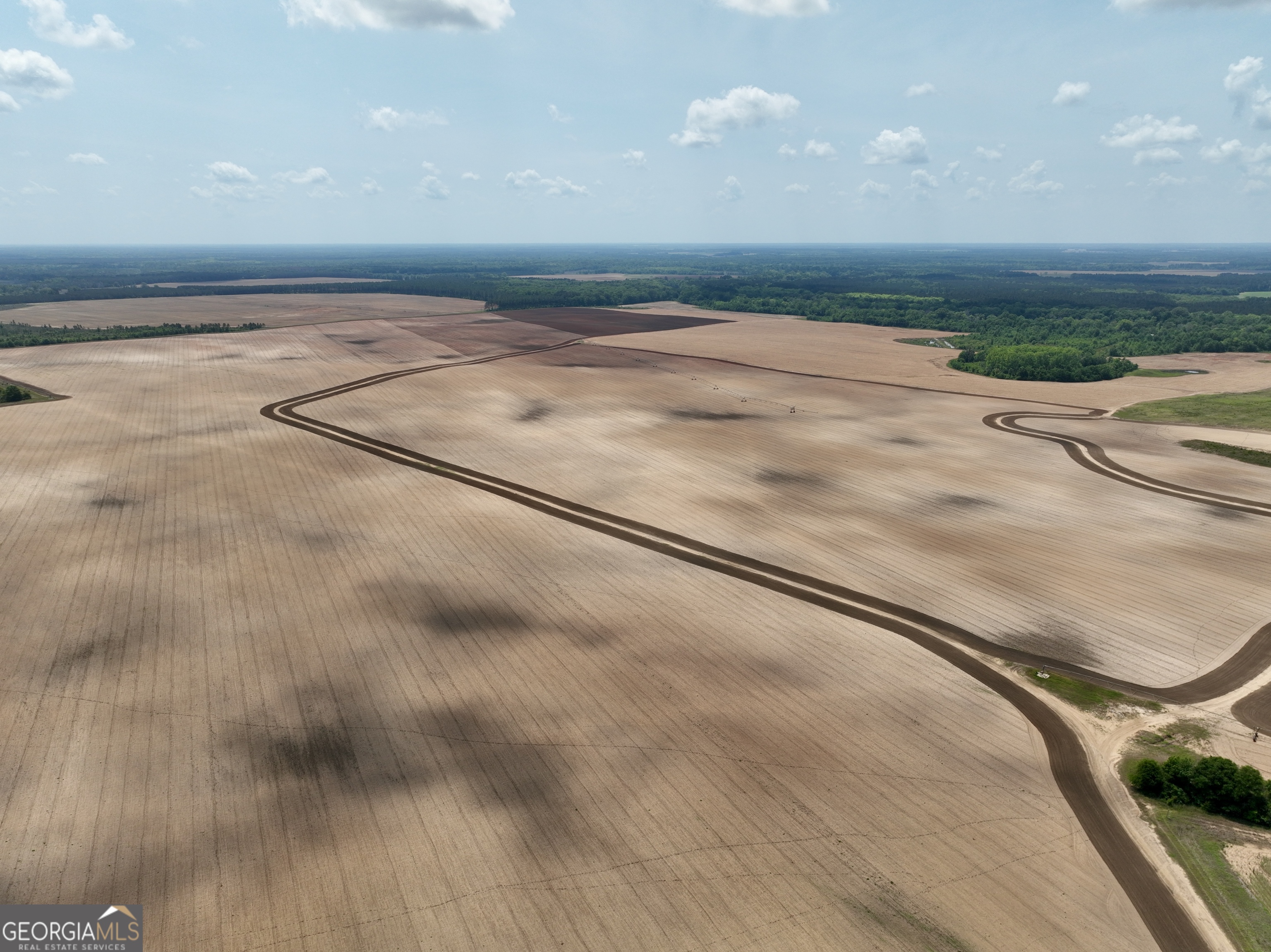 89 Griffin Road Hawkinsville, GA 31036 - Photo 6 of 48