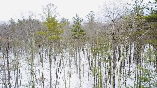 $155,000 | 48 Mountain View Drive, Sand Lake, NY 12018