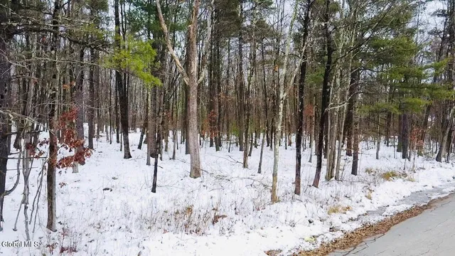 $155,000 | 48 Mountain View Drive, Sand Lake, NY 12018