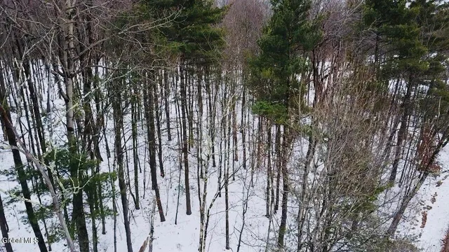 $155,000 | 48 Mountain View Drive, Sand Lake, NY 12018