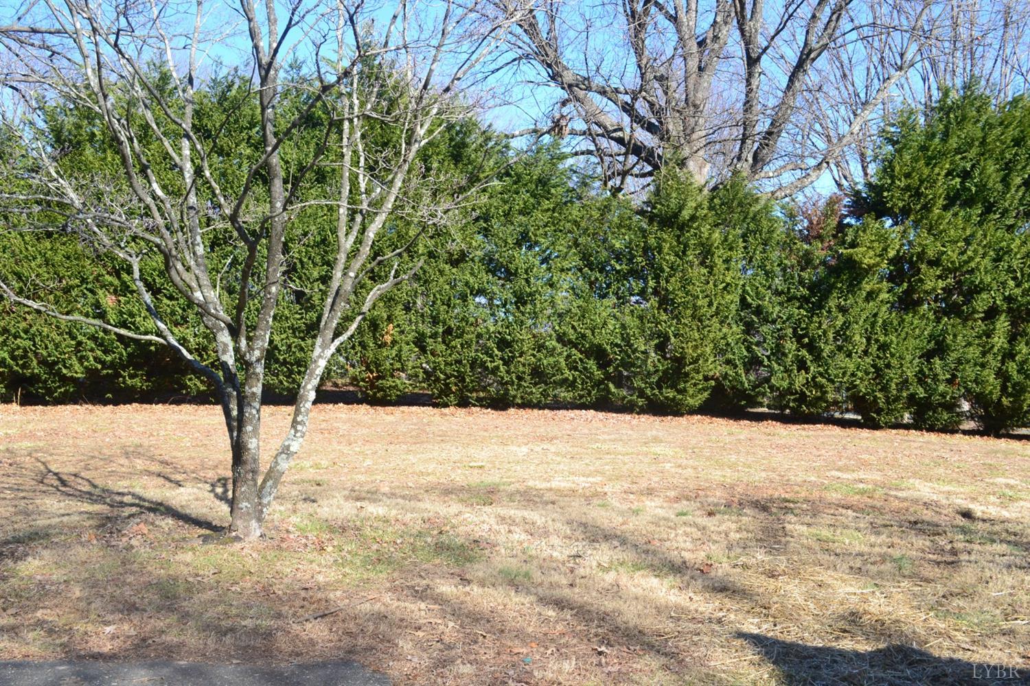 500 Winesap Road Madison Heights, VA 24572 - Photo 57 of 61 Gallery Image 57