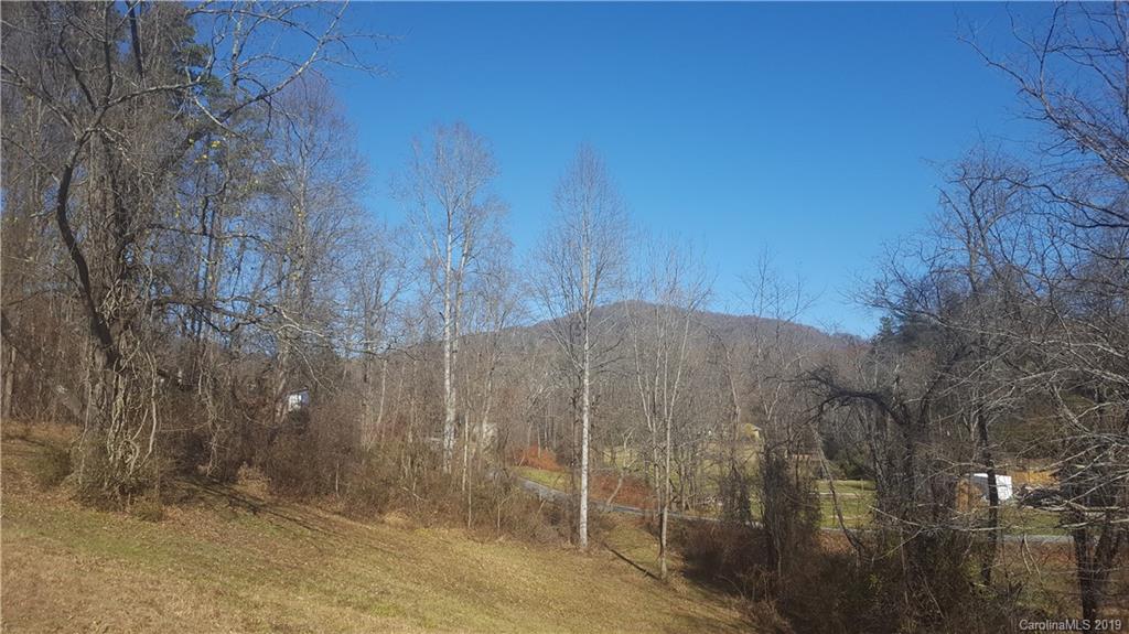 70 Duckett Road Candler, NC 28715 - Photo 8 of 16 Gallery Image 8