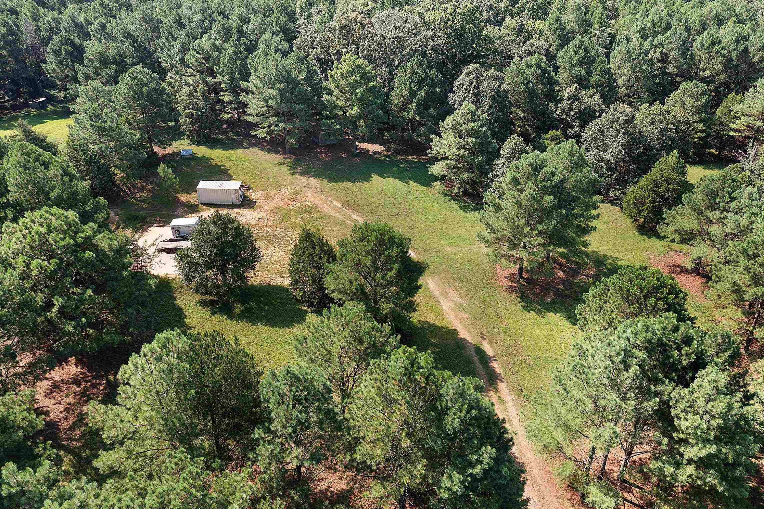 1325 Center Hill Road Finger, TN 38334 - Photo 23 of 24 an aerial view of residential house with outdoor space and trees all around