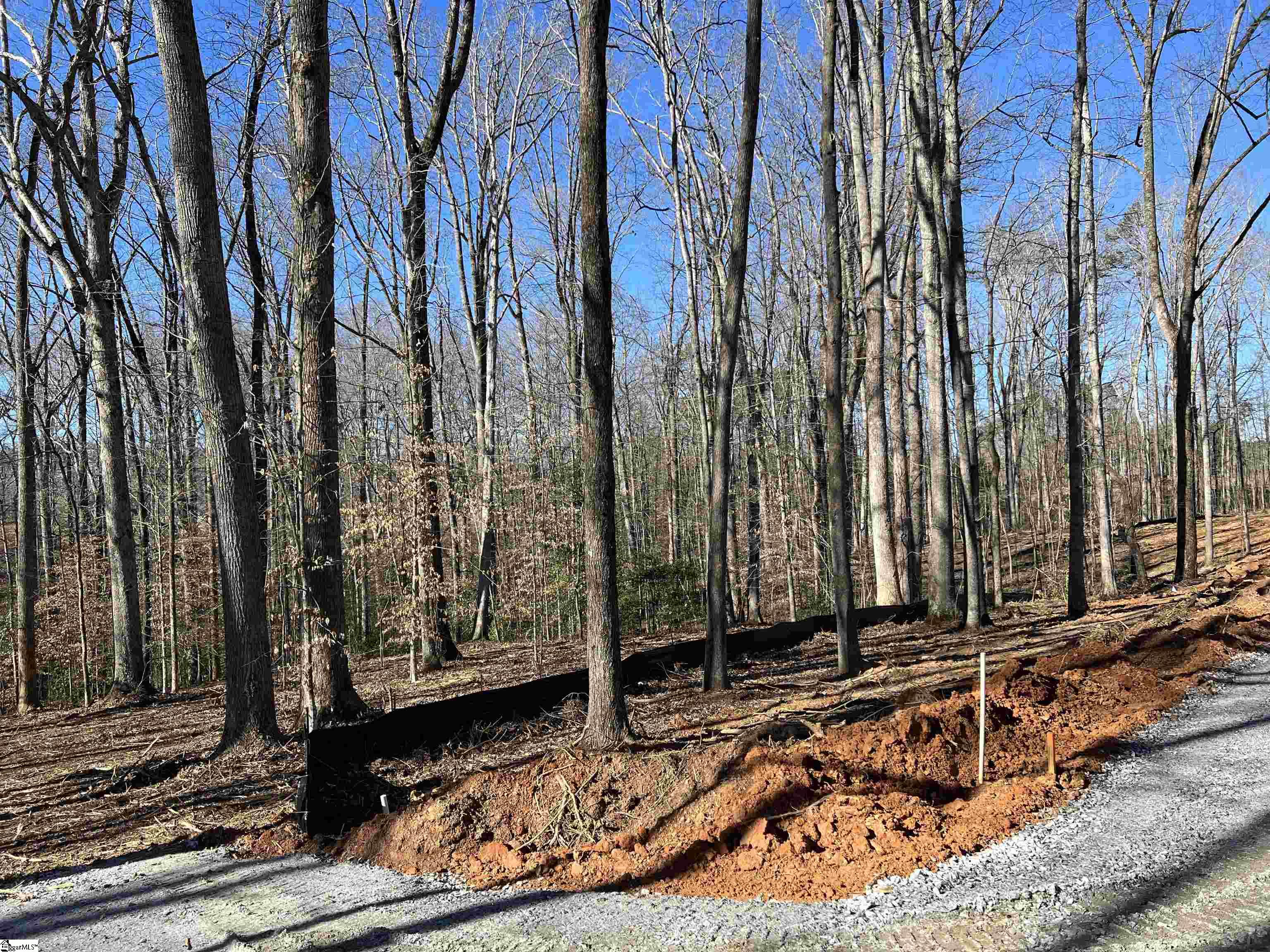 0 Bates Crossing Road, Unit LOT 2 Travelers Rest, SC 29690 - Photo 3 of 5
