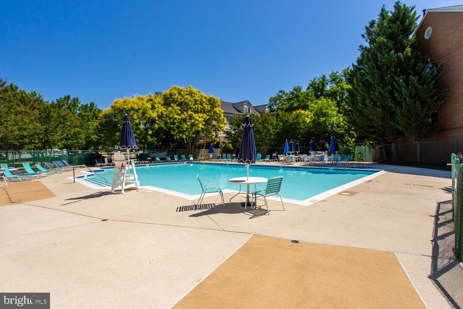 6248 Levi Court Springfield, VA 22150 - Photo 48 of 51 Sunny oasis with a refreshing pool.