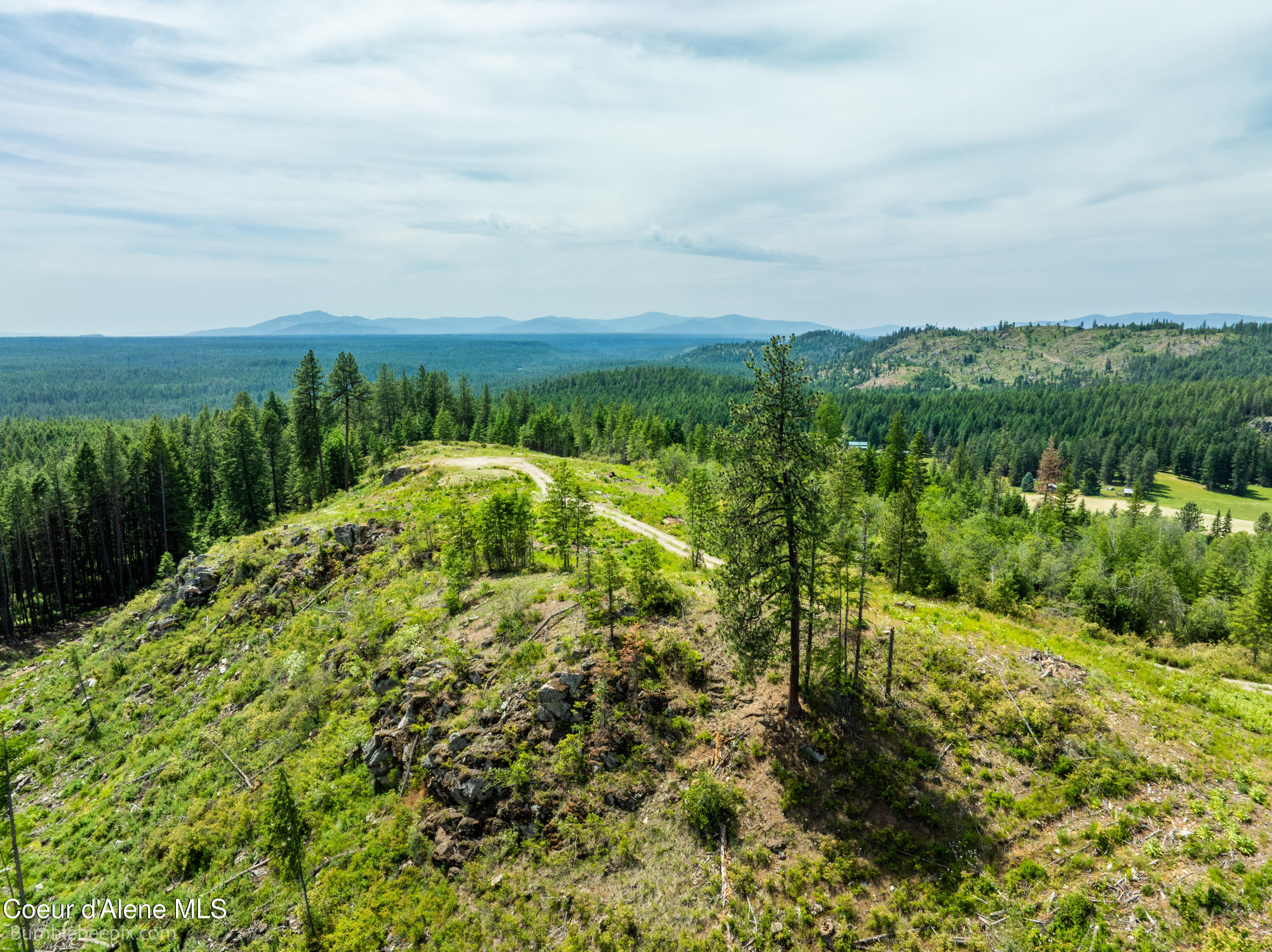 1140 Salee Creek Road Athol, ID 83801 - Photo 12 of 36 BB193281-12