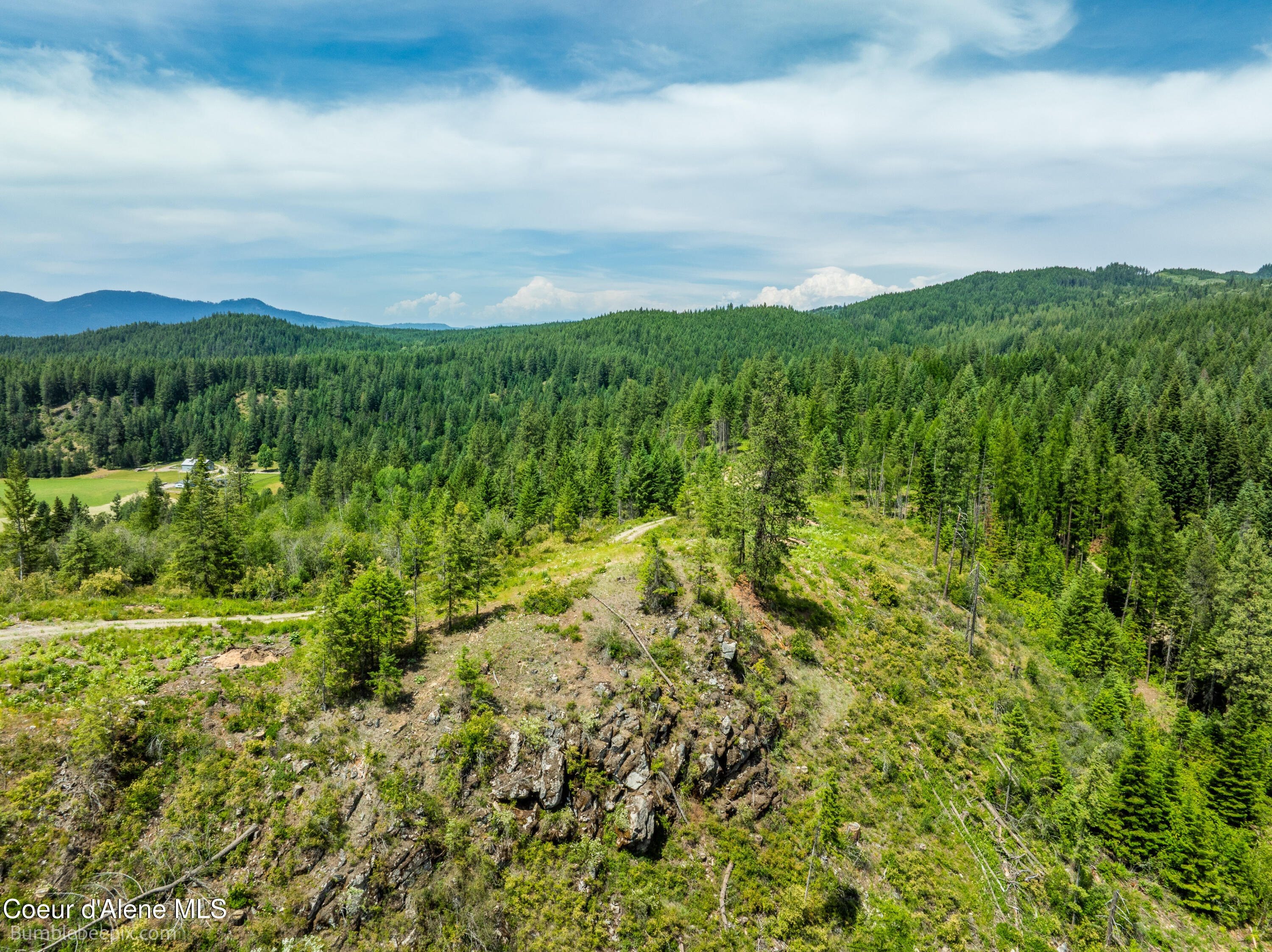 1140 Salee Creek Road Athol, ID 83801 - Photo 13 of 36 BB193281-14