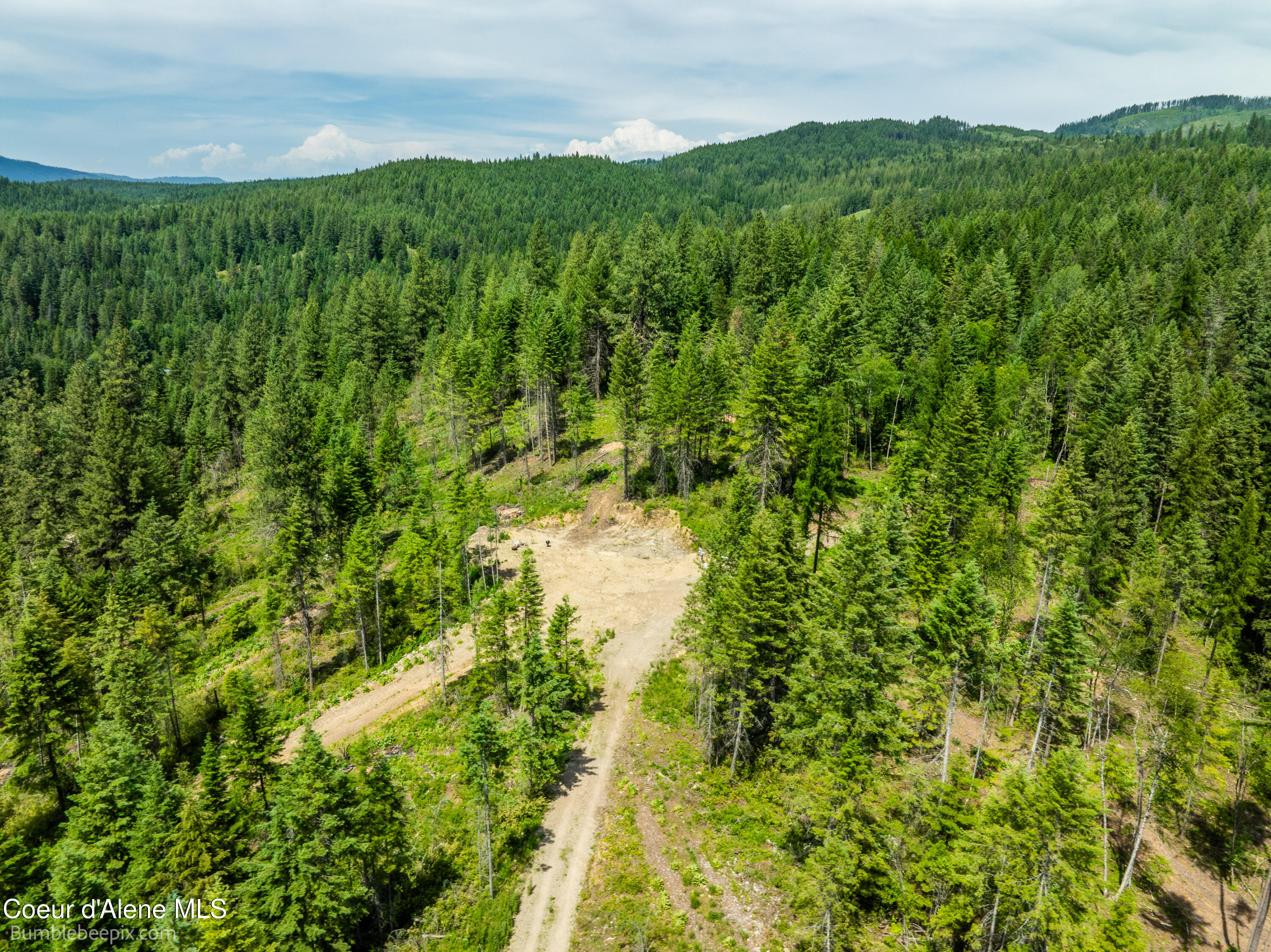 1140 Salee Creek Road Athol, ID 83801 - Photo 15 of 36 BB193281-16