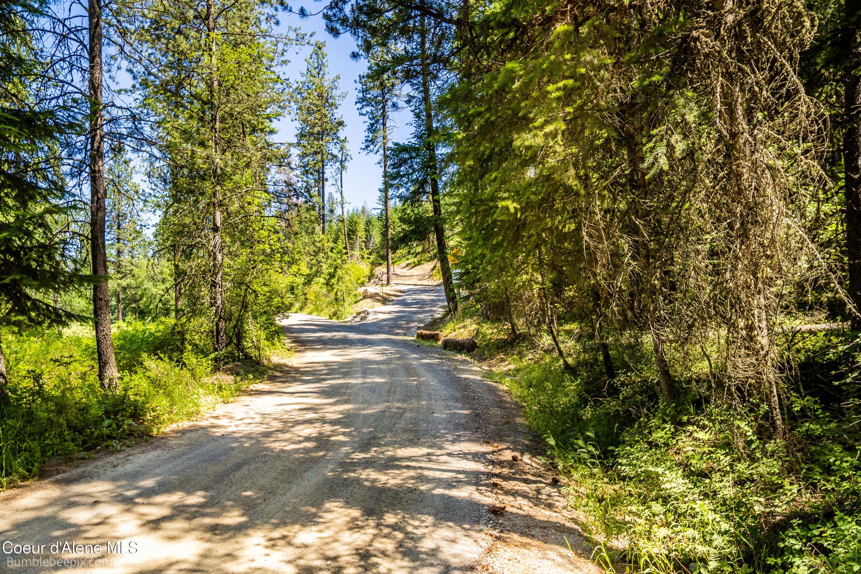 1140 Salee Creek Road Athol, ID 83801 - Photo 26 of 36 BB193281-37
