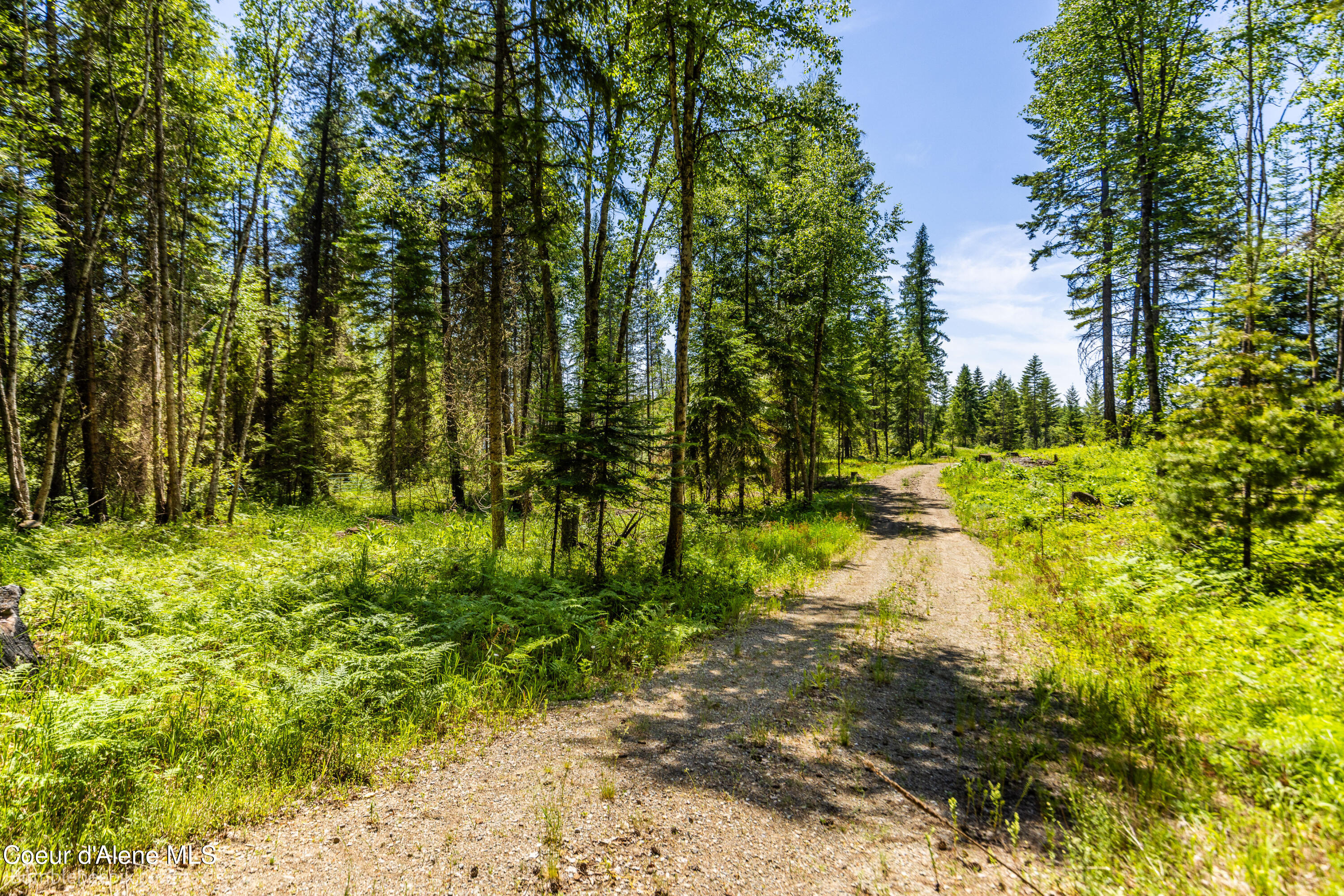 1140 Salee Creek Road Athol, ID 83801 - Photo 27 of 36 BB193281-48