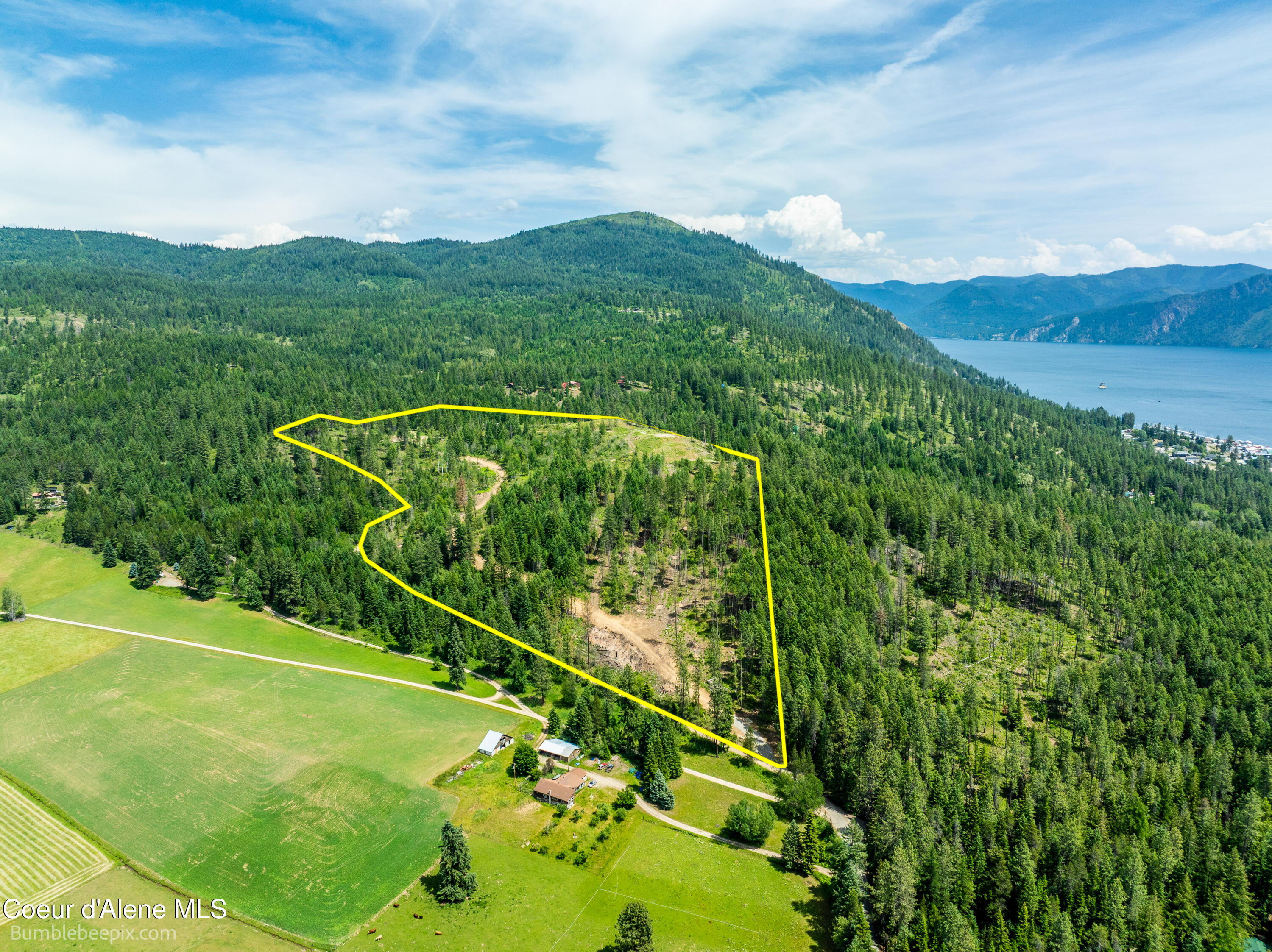 1140 Salee Creek Road Athol, ID 83801 - Photo 3 of 36 BB193281-2