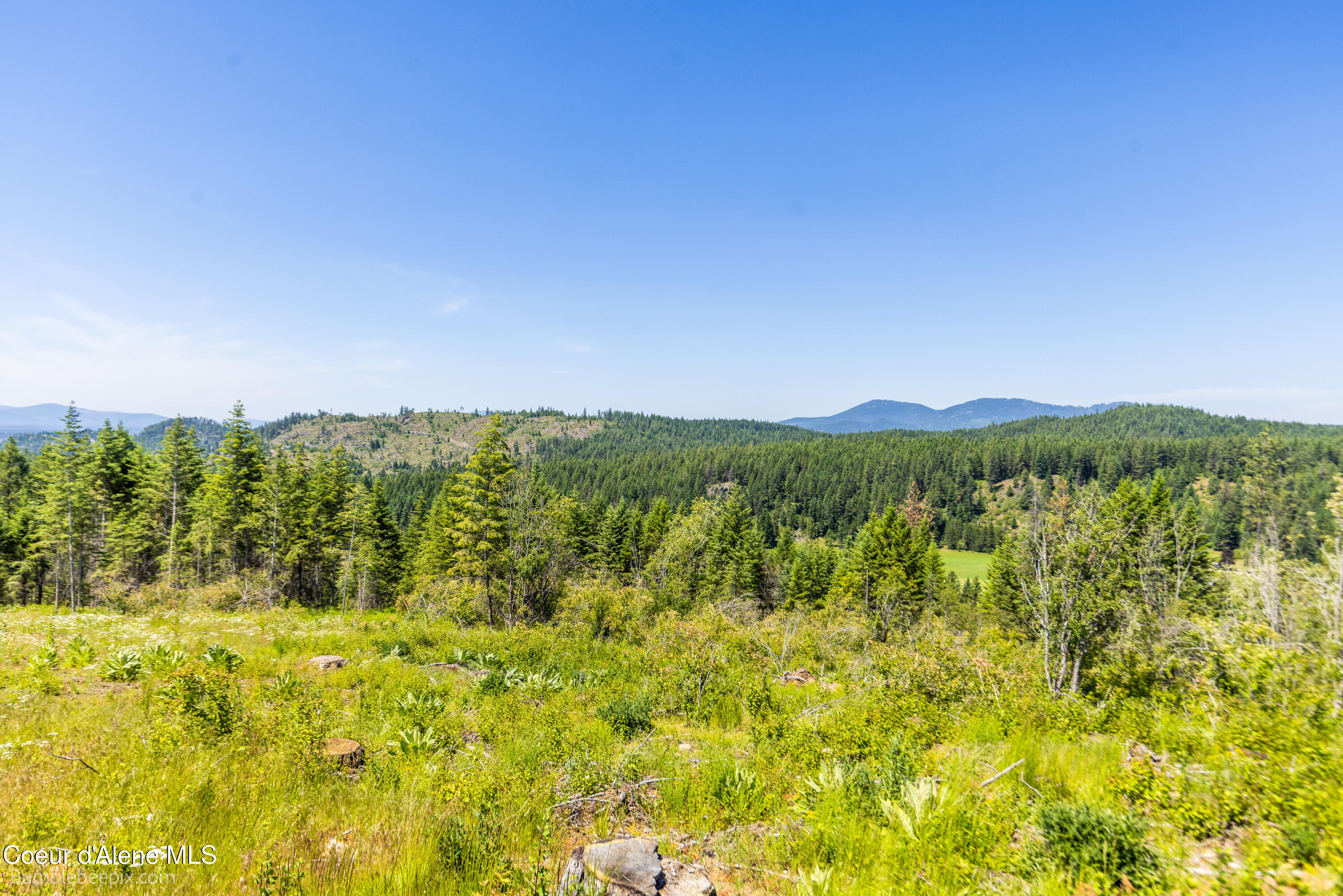 1140 Salee Creek Road Athol, ID 83801 - Photo 33 of 36 BB193281-47