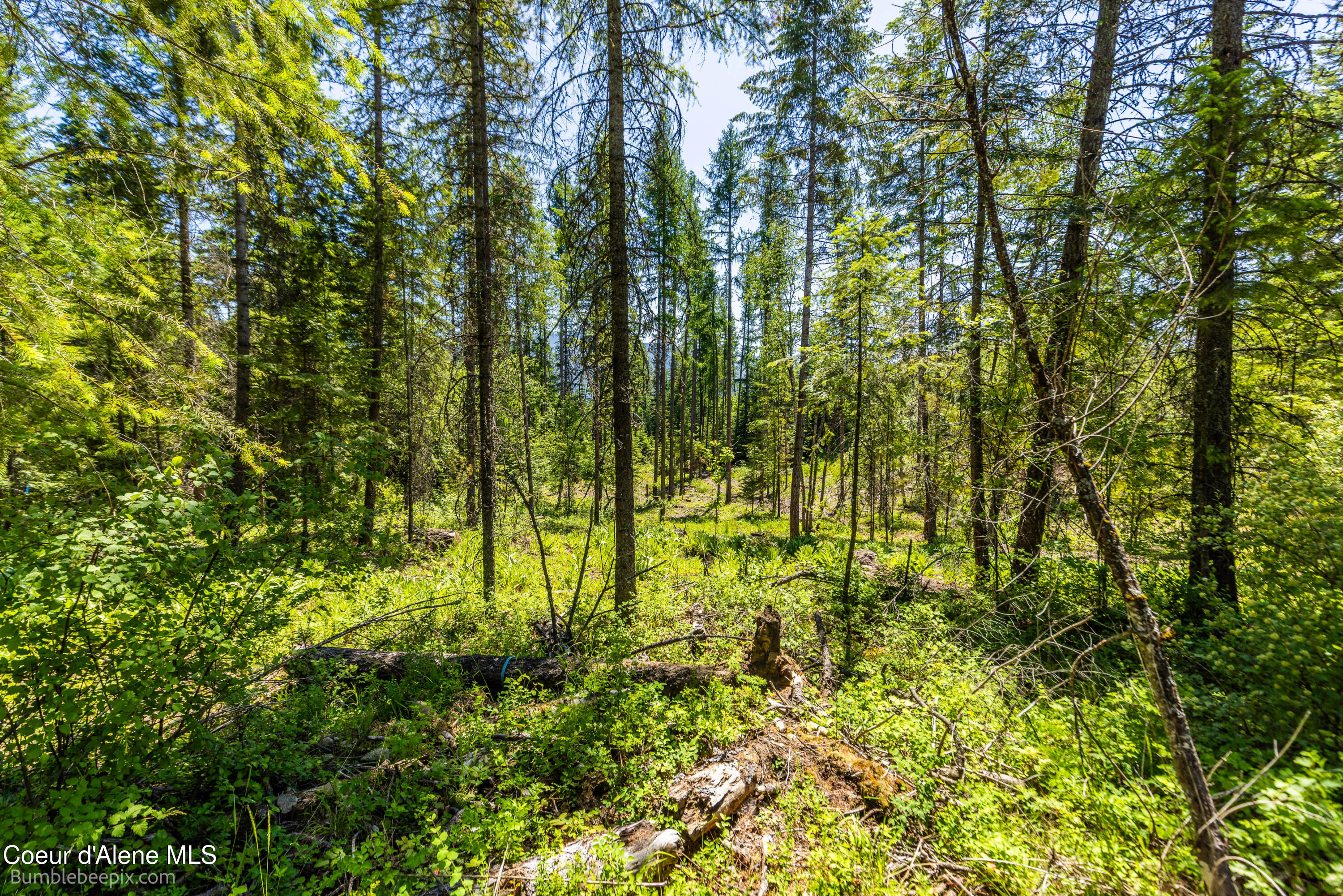 1140 Salee Creek Road Athol, ID 83801 - Photo 34 of 36 BB193281-49