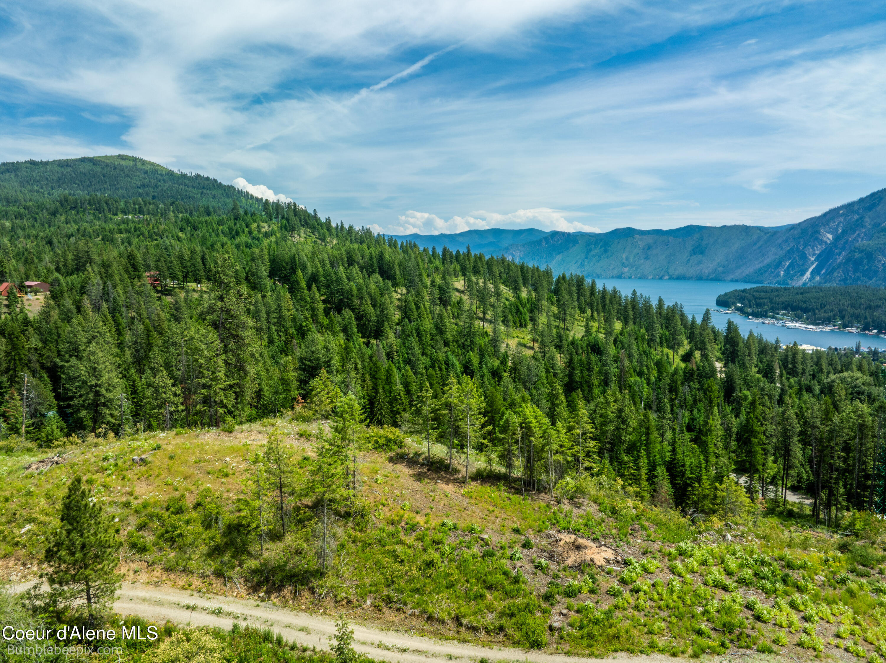 1140 Salee Creek Road Athol, ID 83801 - Photo 4 of 36 BB193281-9