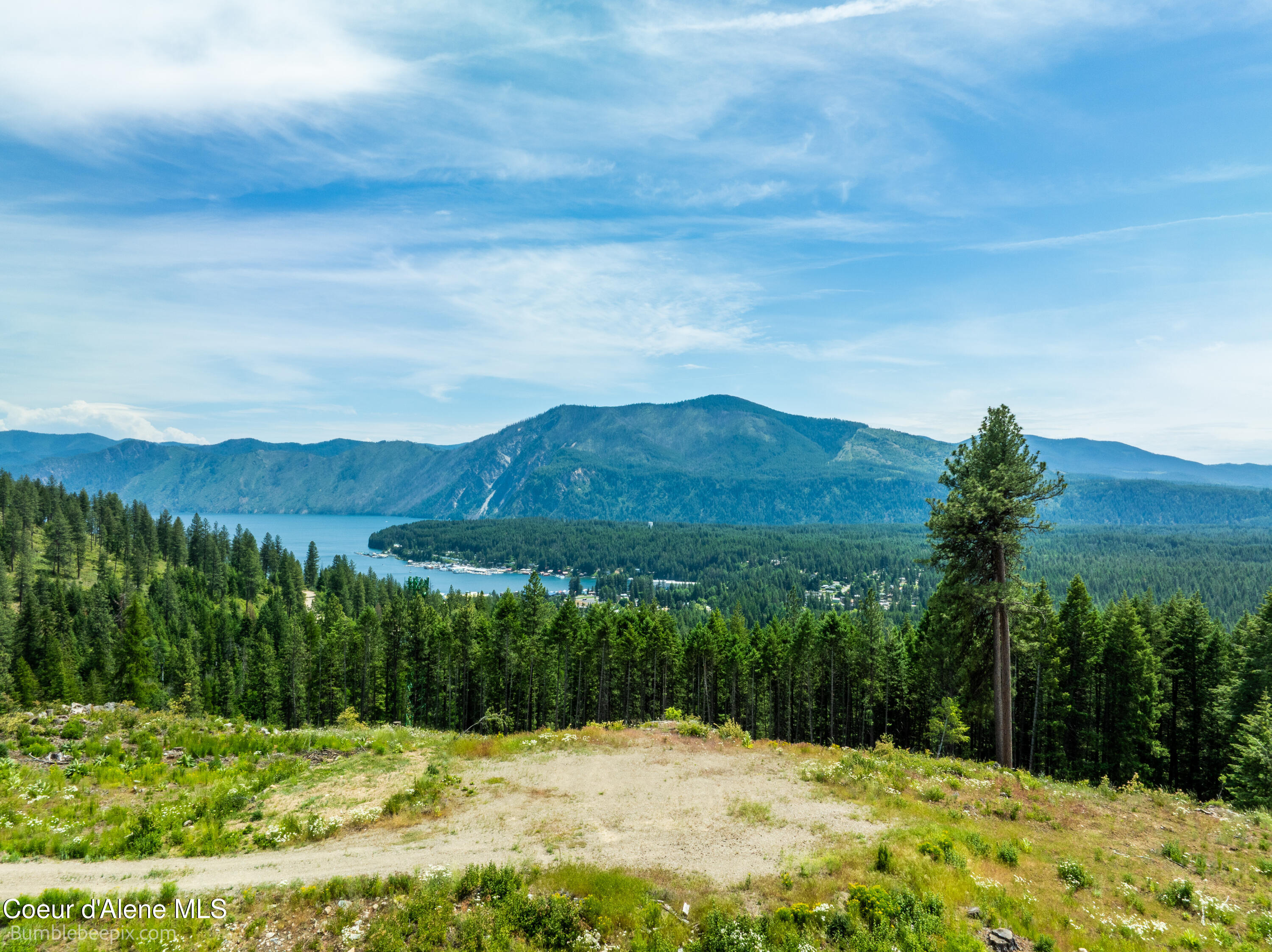 1140 Salee Creek Road Athol, ID 83801 - Photo 5 of 36 BB193281-5