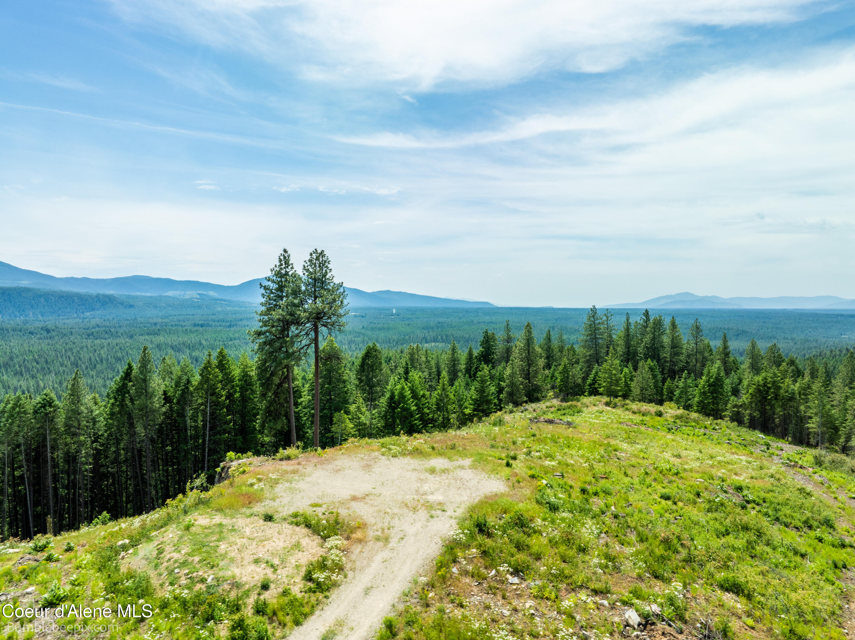 1140 Salee Creek Road Athol, ID 83801 - Photo 6 of 36 BB193281-6