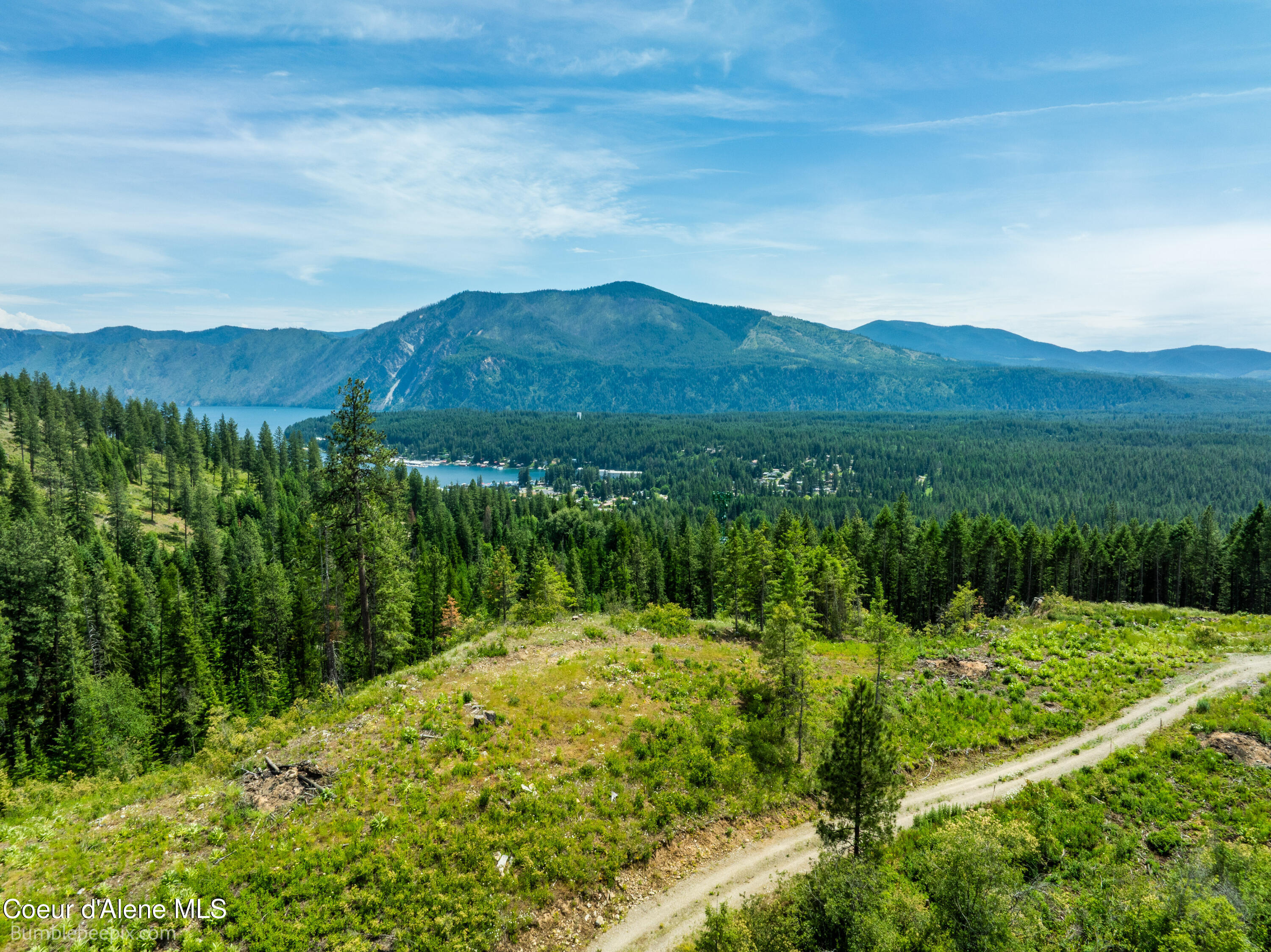 1140 Salee Creek Road Athol, ID 83801 - Photo 8 of 36 BB193281-11