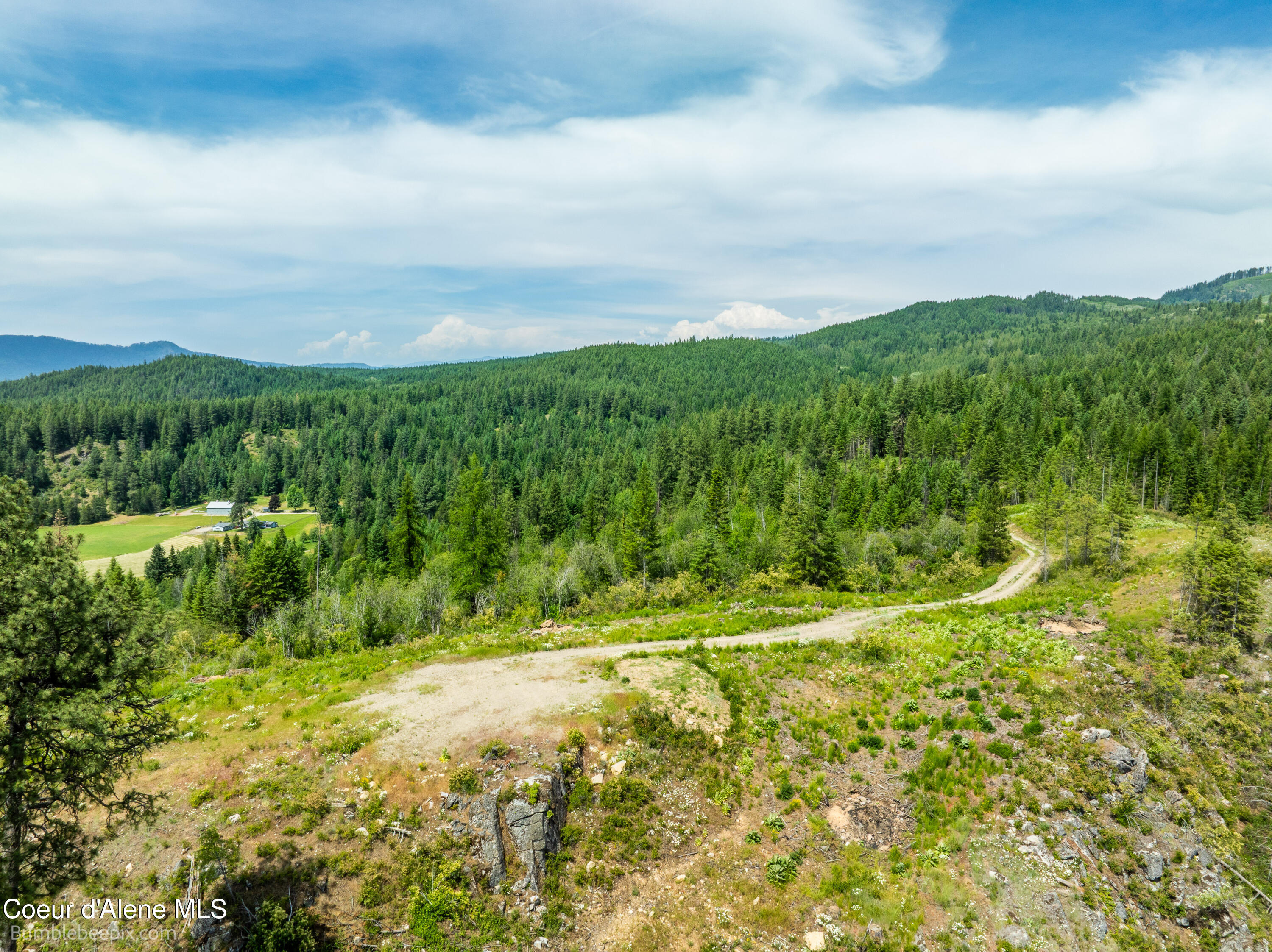 1140 Salee Creek Road Athol, ID 83801 - Photo 10 of 36 BB193281-8