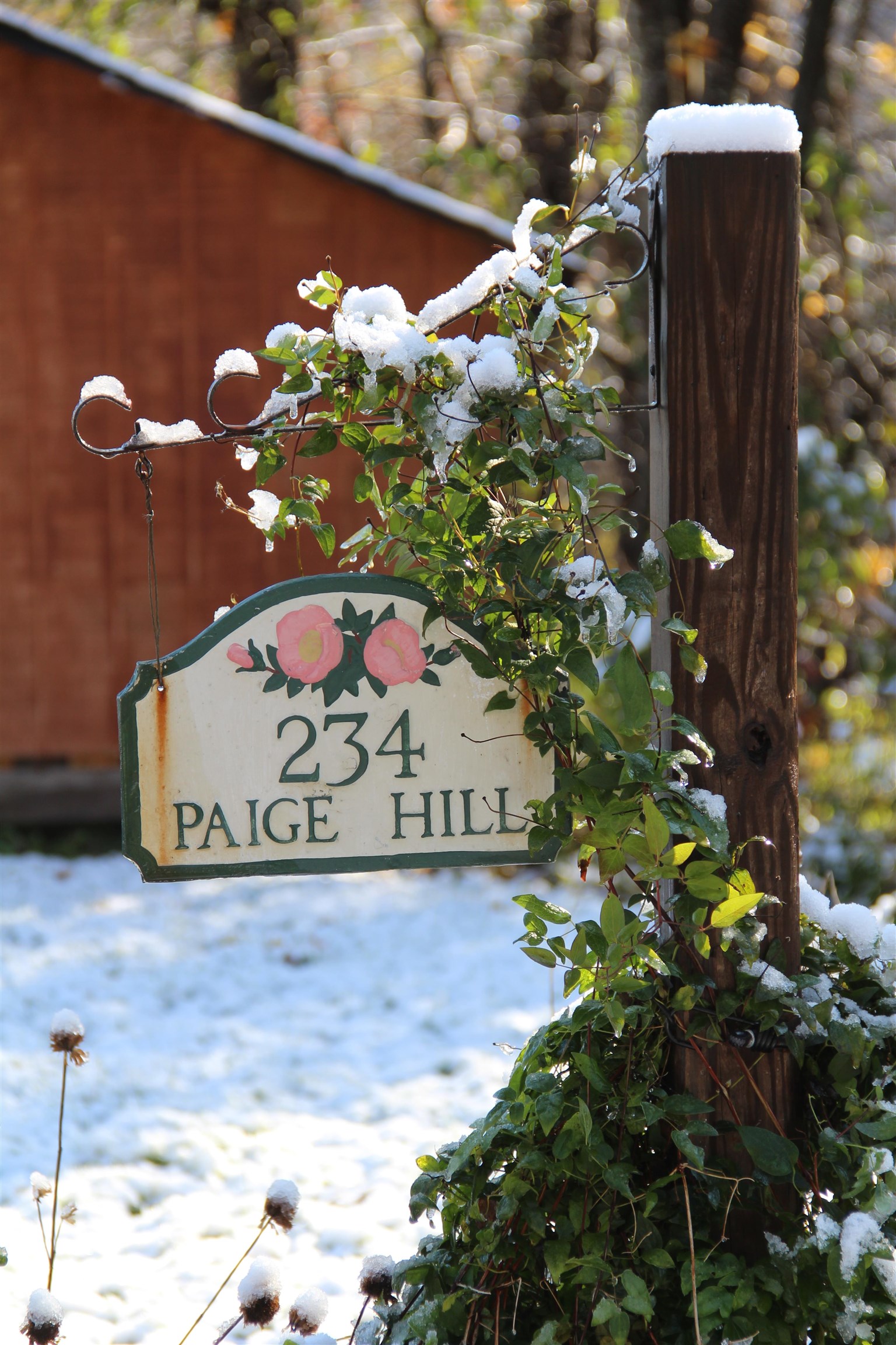 234 Paige Hill Road Goffstown, NH 03045 - Photo 40 of 50