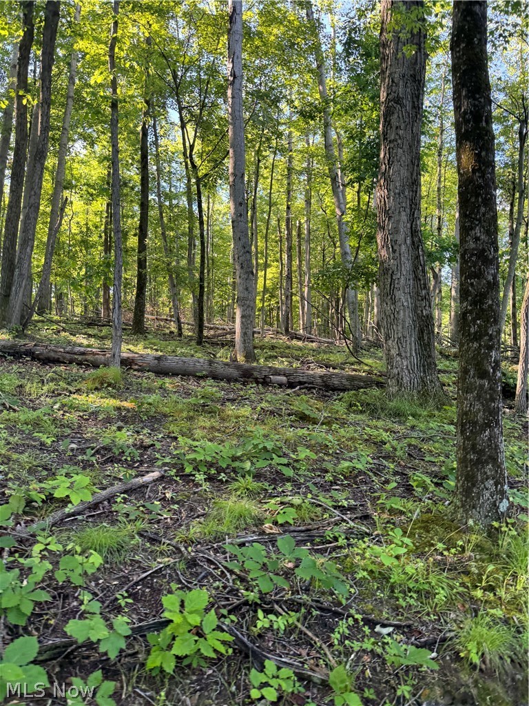 Stone Quarry Road Danville, OH 43014 - Photo 17 of 50
