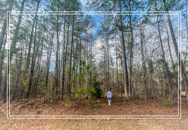 $28,000 | Lot O-044 Mt Vintage Plantation Drive, North Augusta, SC 29860