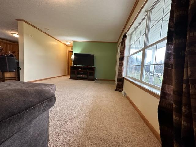 12838 Antioch Road Rising Sun, IN 47040 - Photo 5 of 51