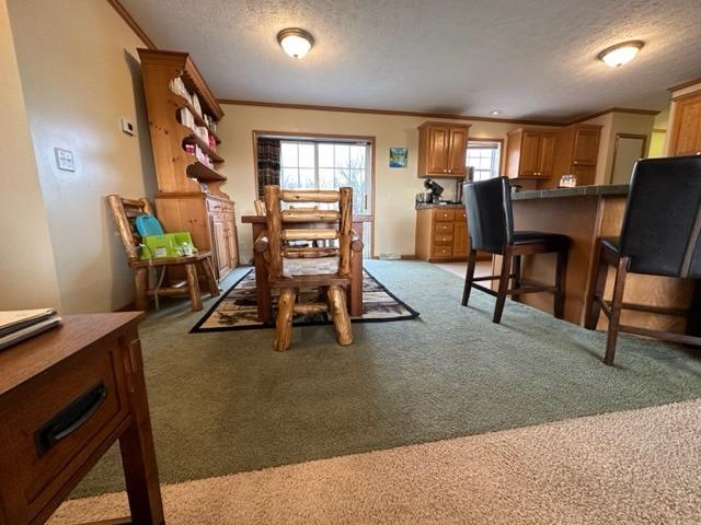 12838 Antioch Road Rising Sun, IN 47040 - Photo 8 of 51