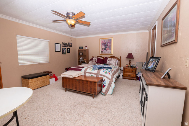855 East 300 N Street Beaver, UT 84713 - Photo 19 of 44 Spacious room featuring neutral-toned walls, textured ceiling, crown molding, and light-colored carpeting