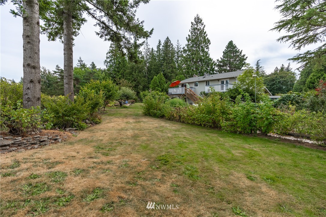 5946 Longdin Road Ferndale, WA 98248 - Photo 40 of 40 a view of a field with plants and trees