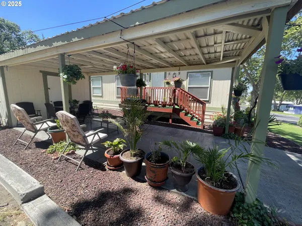 a view of a porch with plants and furniture
