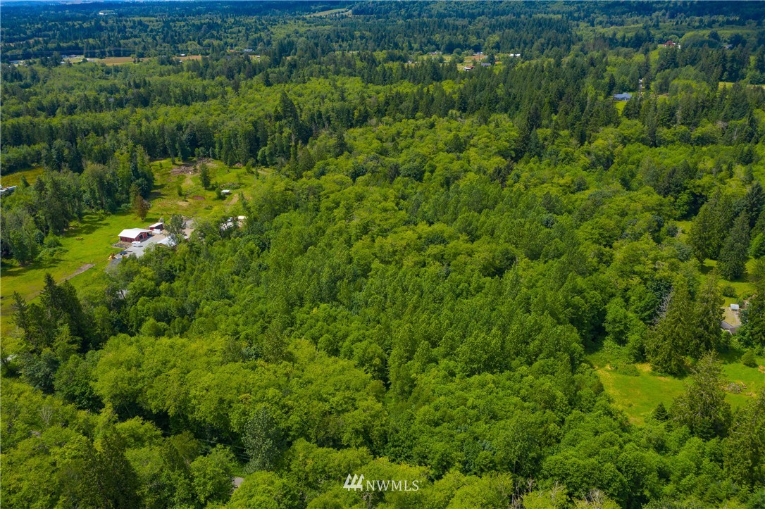 -xx Butler Creek Road Sedro-Woolley, WA 98284 - Photo 1 of 14 Gallery Image 1