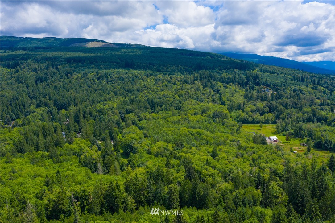 -xx Butler Creek Road Sedro-Woolley, WA 98284 - Photo 8 of 14 Gallery Image 8