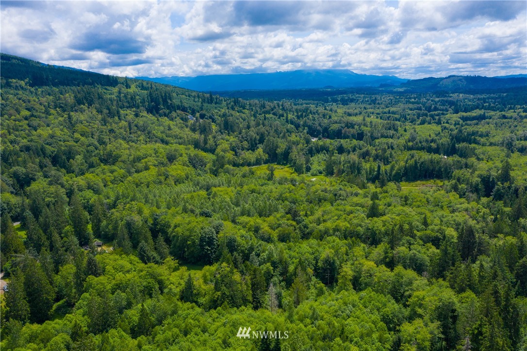 -xx Butler Creek Road Sedro-Woolley, WA 98284 - Photo 9 of 14 Gallery Image 9