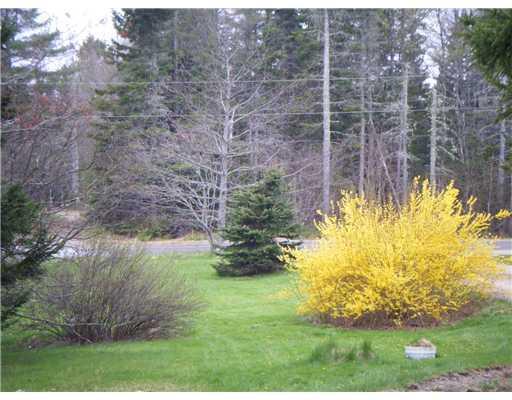 182 Roque Bluffs Road Jonesboro, ME 04648 - Photo 24 of 25 Other. Forsythia blooming in early...