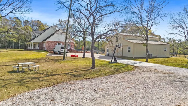 a view of a yard with palm trees