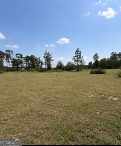 1087 Green Morgan School Road Clyo, GA 31303 - Photo 12 of 24