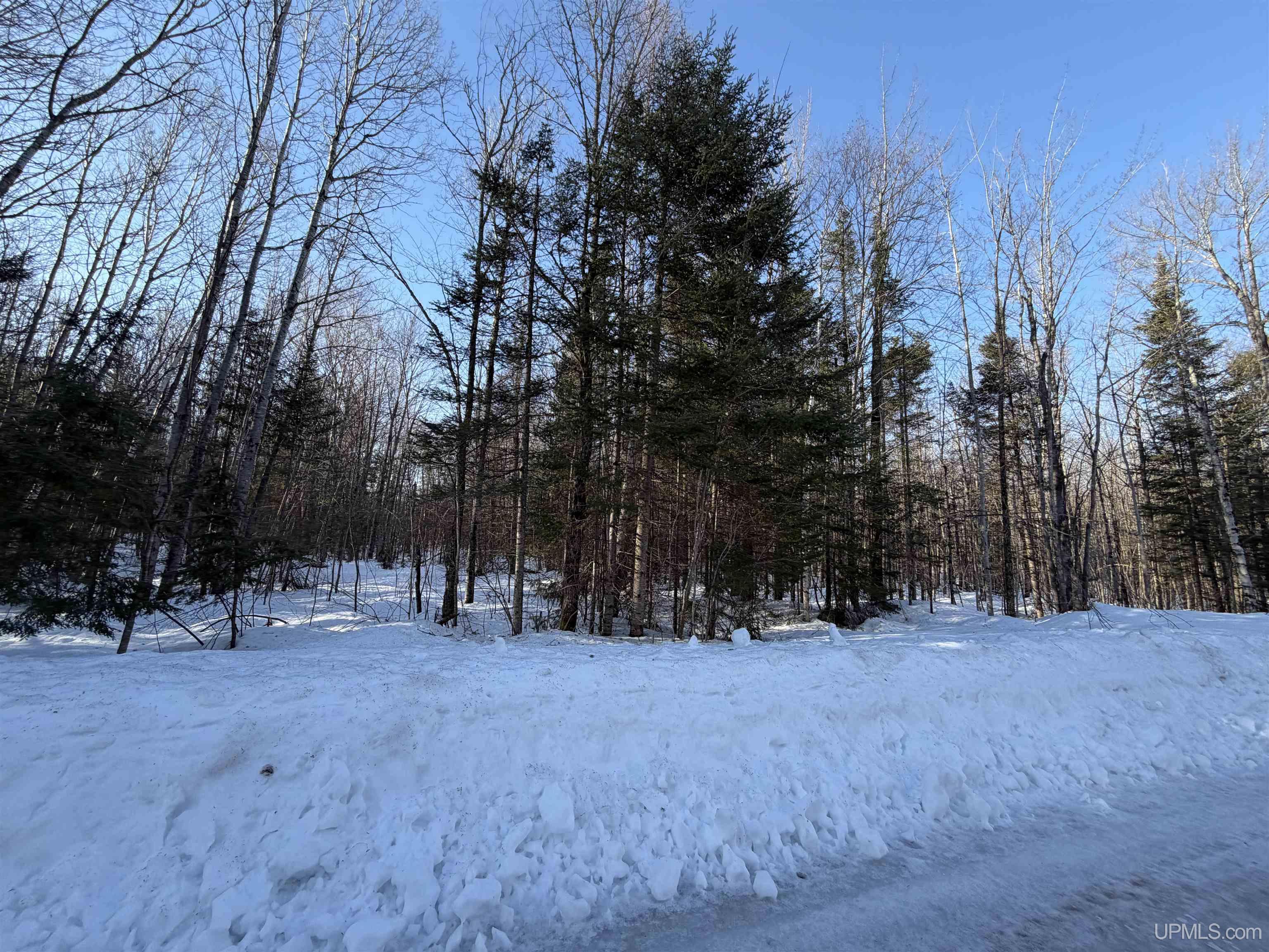 56-acres Halverson Road Skandia, MI 49885 - Photo 3 of 16