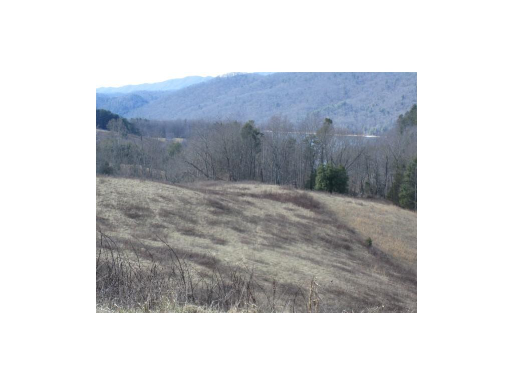 331 Dry Hill Road Butler, TN 37640 - Photo 8 of 11 Photo 8