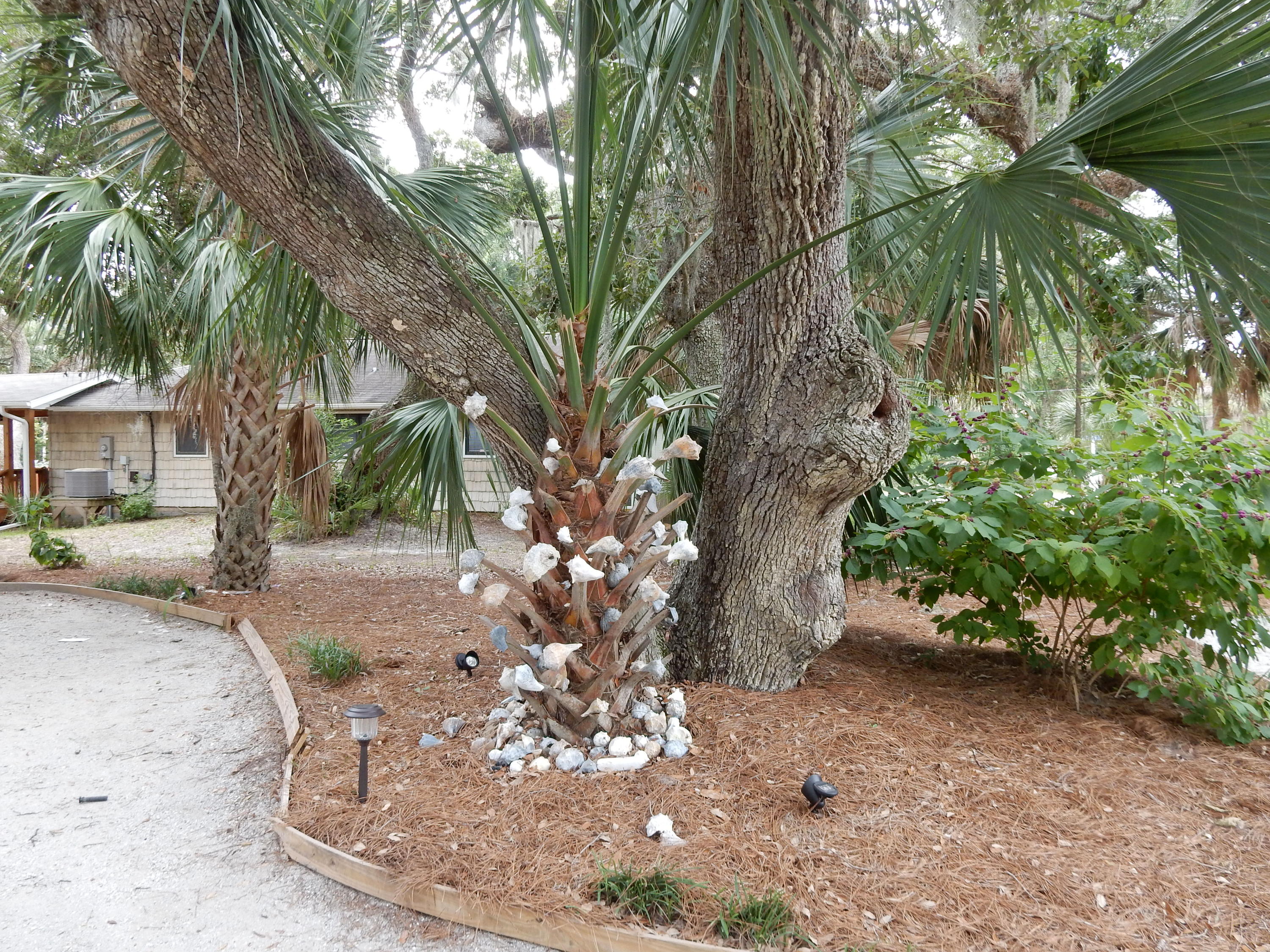 1406 Jungle Road Edisto Beach, SC 29438 - Photo 15 of 51 DSCN0612