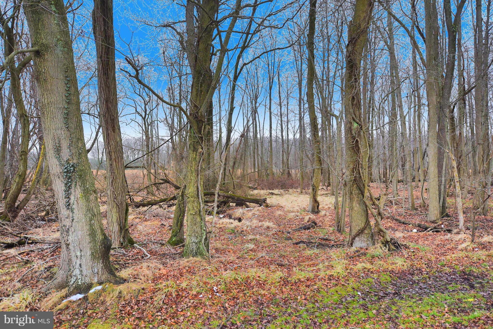 7242 Oliver Beach Road Baltimore, MD 21220 - Photo 28 of 30 Views of Gunpowder State Park