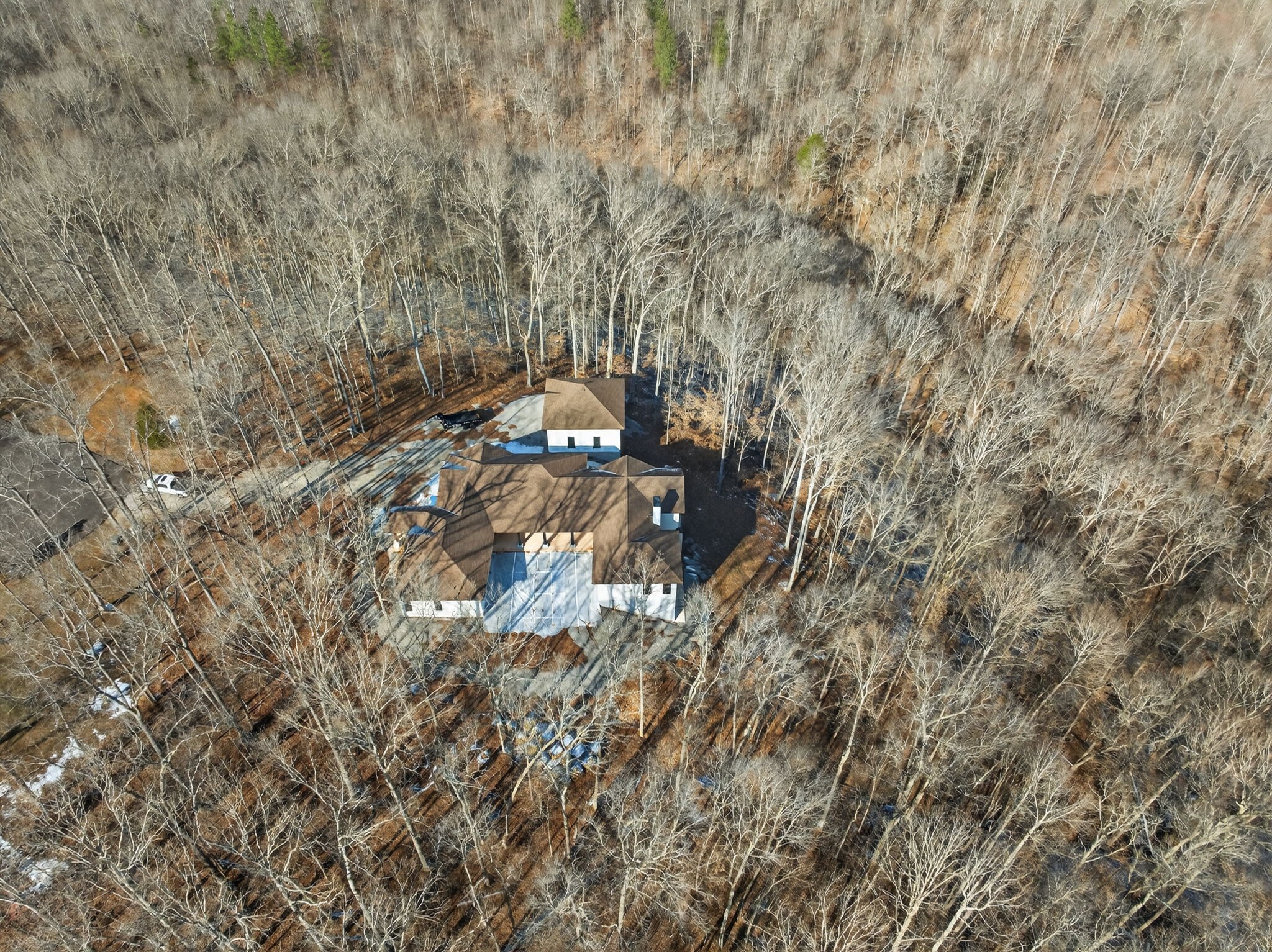 147 Dunrobin Court Sparta, TN 38583 - Photo 55 of 59 a view of a yard with a tree