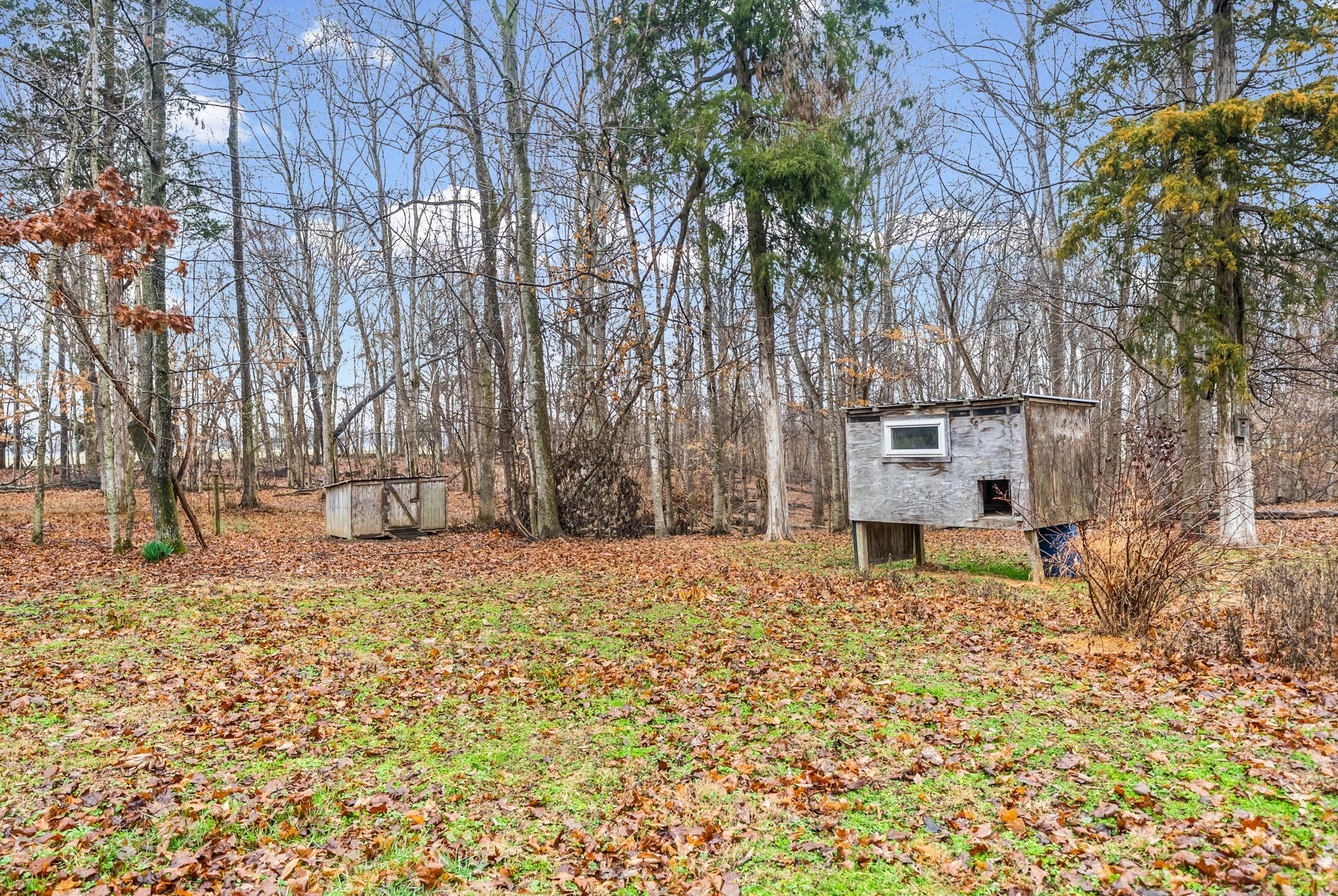 5120 Roaring Springs Road Cadiz, KY 42211 - Photo 32 of 40